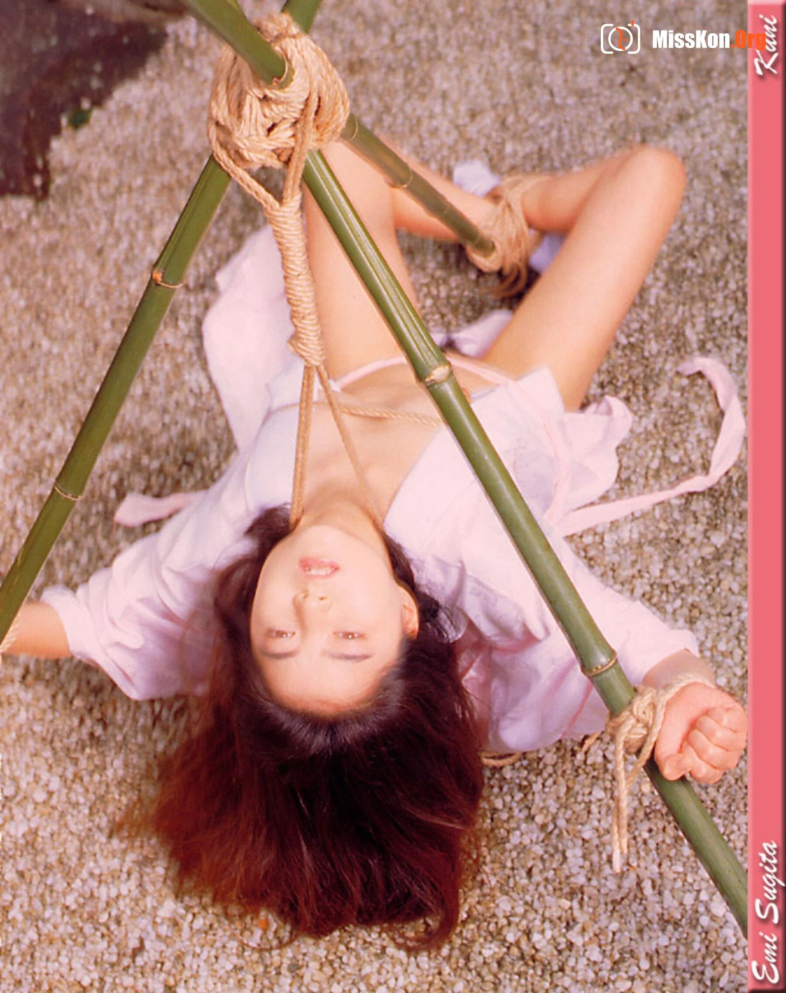 Emi Sugita - Photo 13