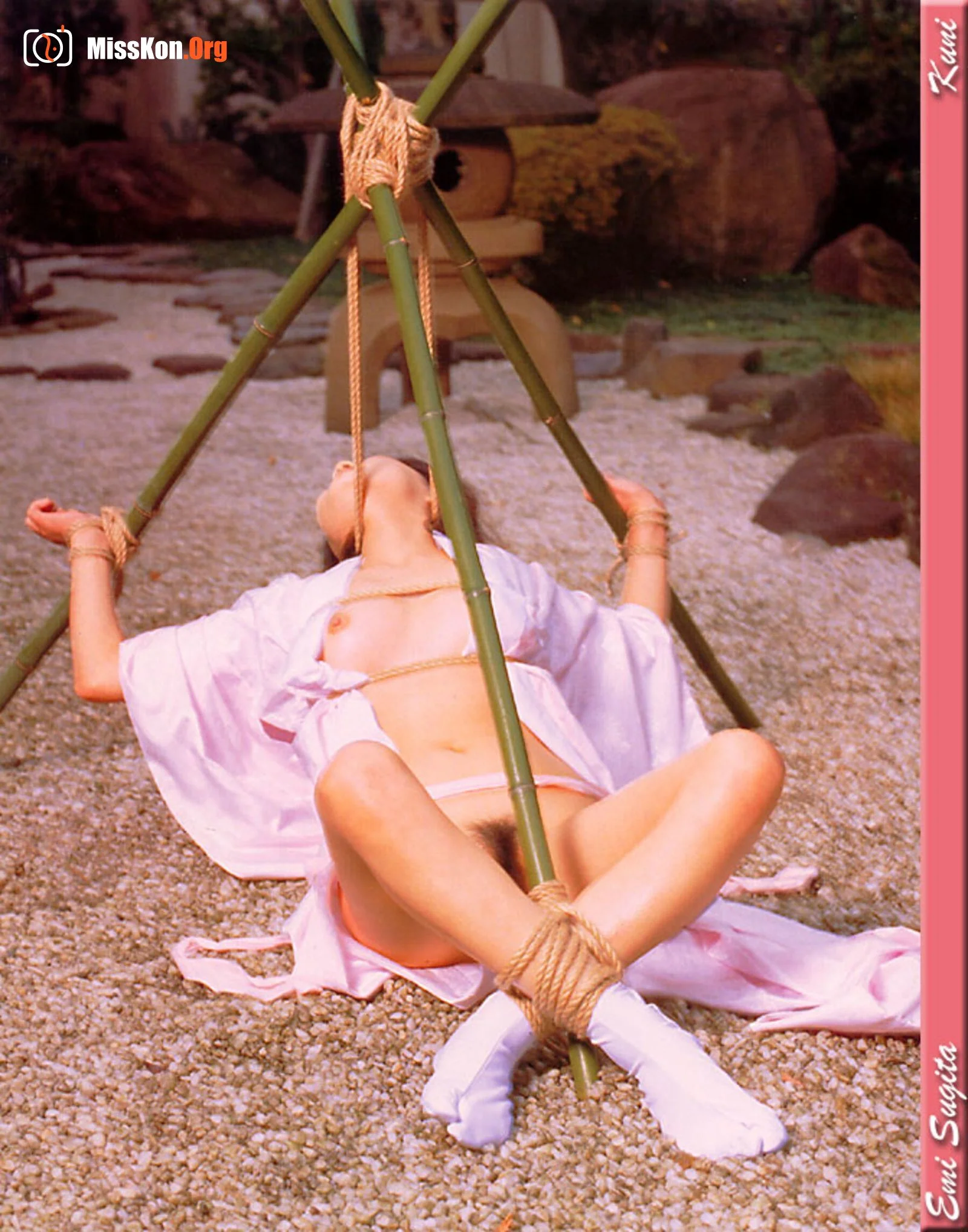 Emi Sugita - Photo 14