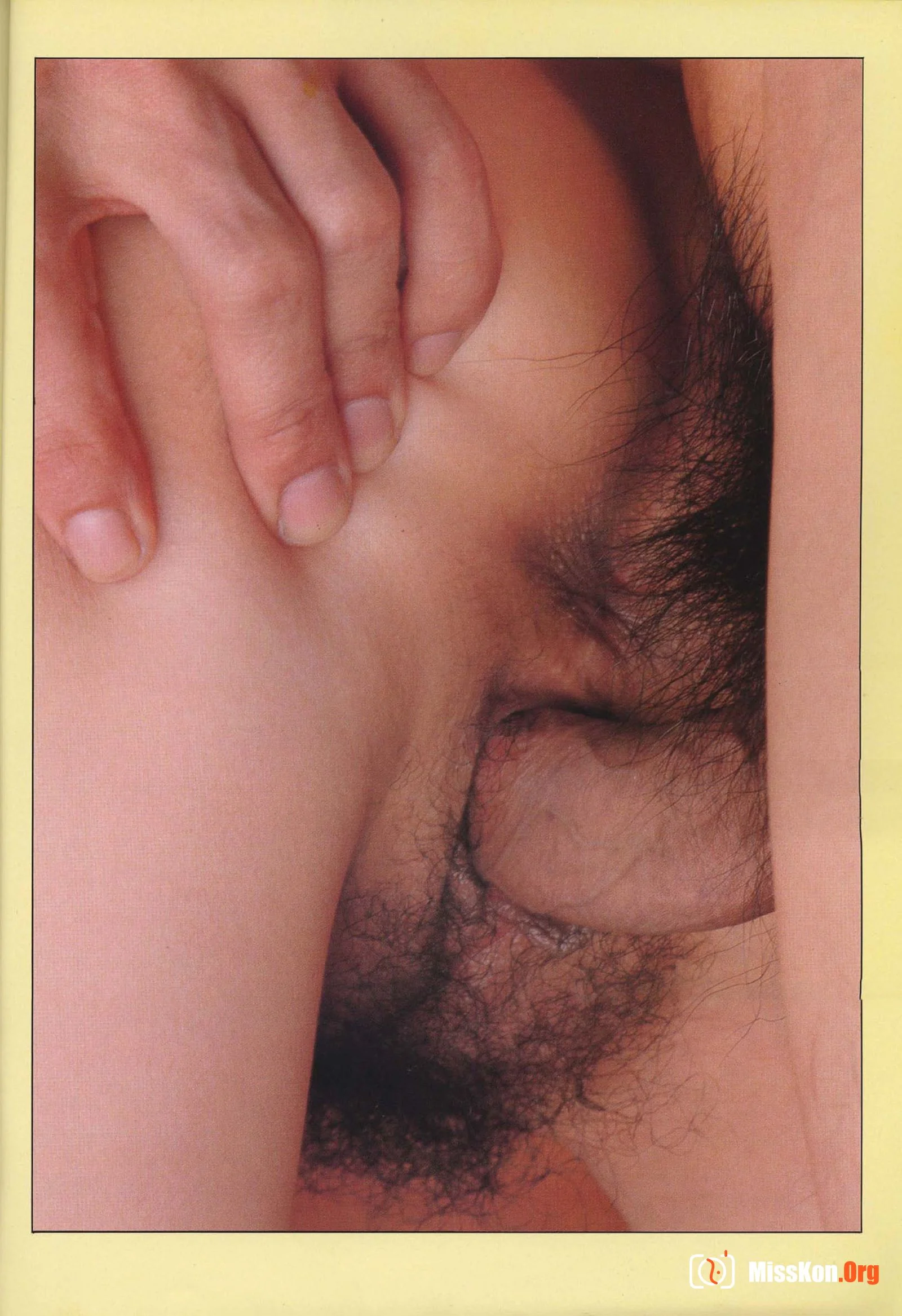 Estrus Vol.1 (1982-01-01) - Photo 12