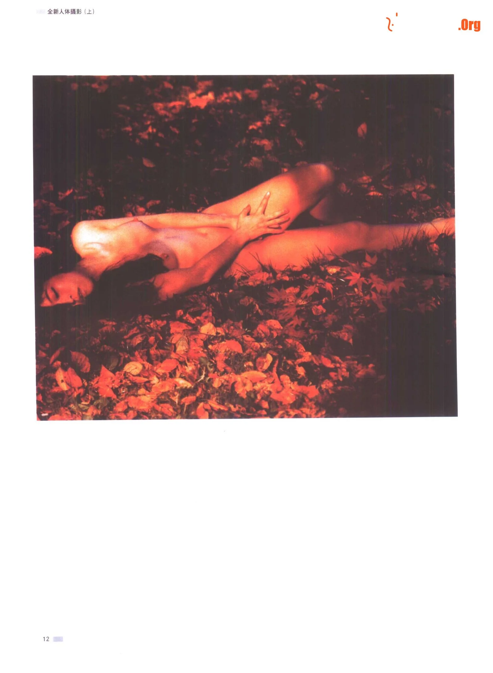 月光下的夏娃 全新人体摄影艺术（上）（吉林摄影出版社） - 照片 17