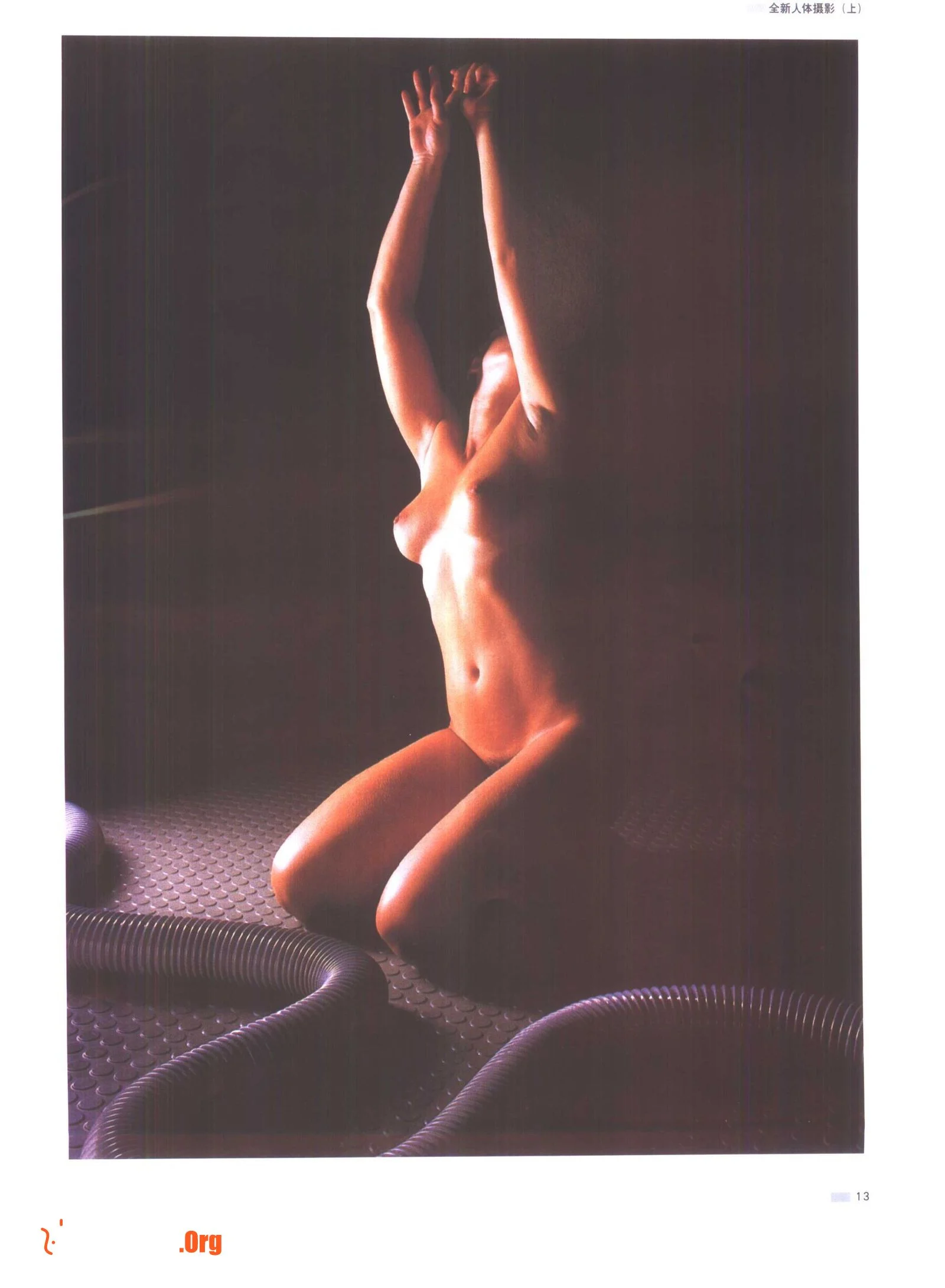 月光下的夏娃 全新人体摄影艺术（上）（吉林摄影出版社） - 照片 18