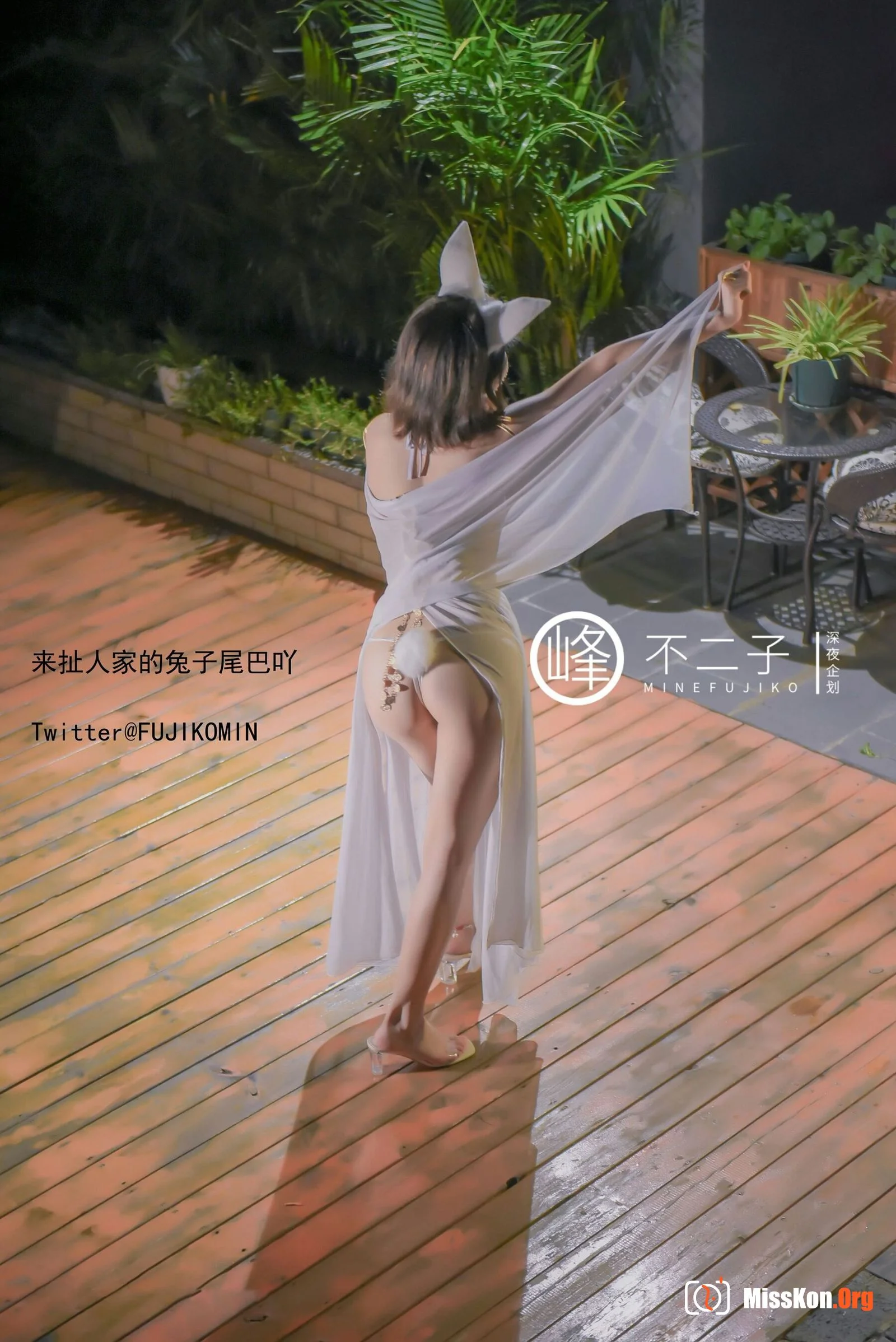 Fairy Jade Rabbit - Photo 12