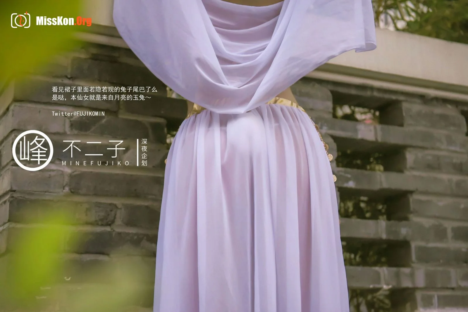 Fairy Jade Rabbit - Photo 4