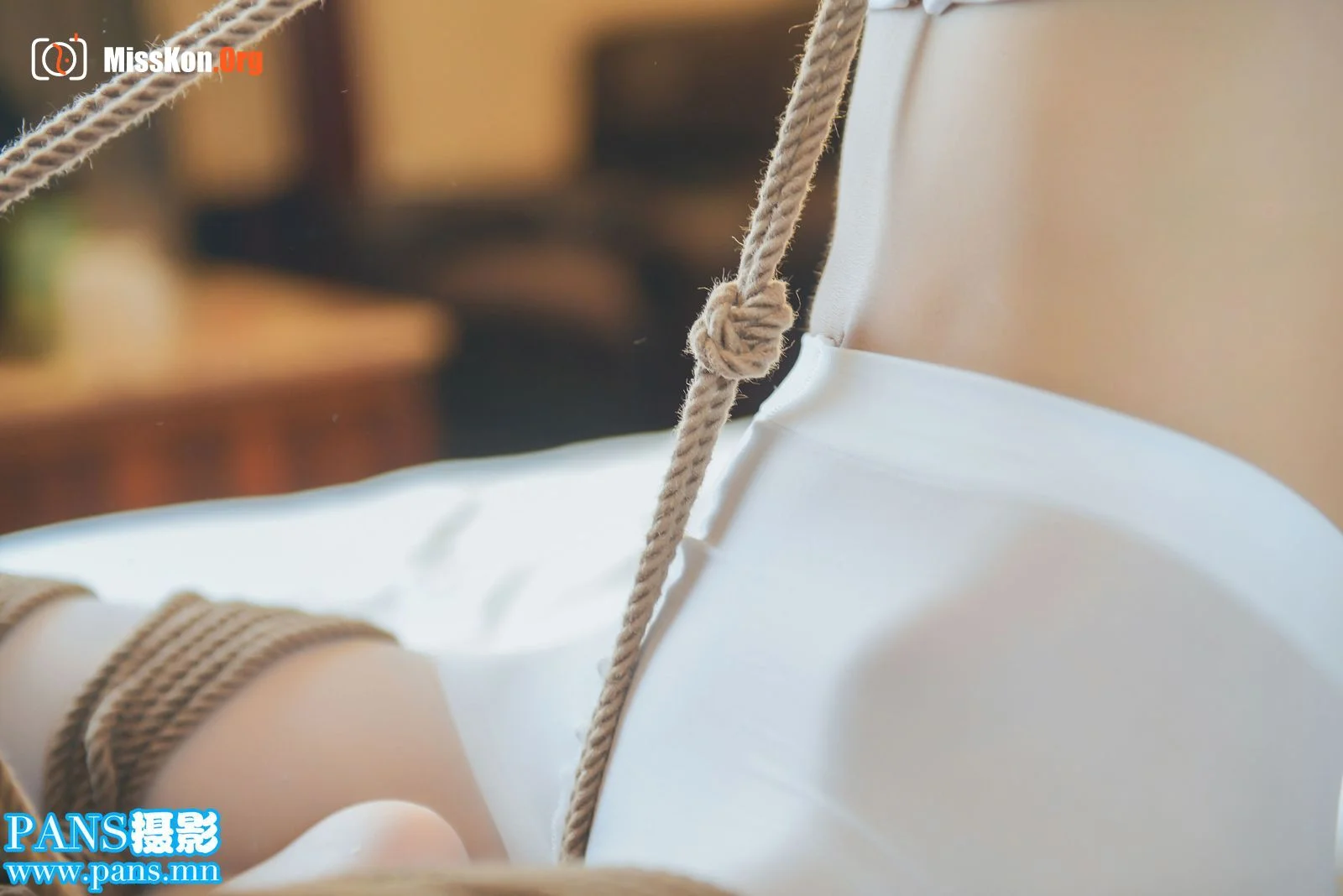 Fan Tuan (Rope Art 020) - Photo 5