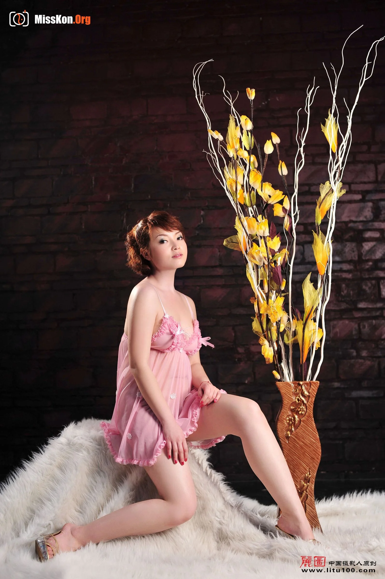 Fei Fei (2009-02-13) - Photo 4