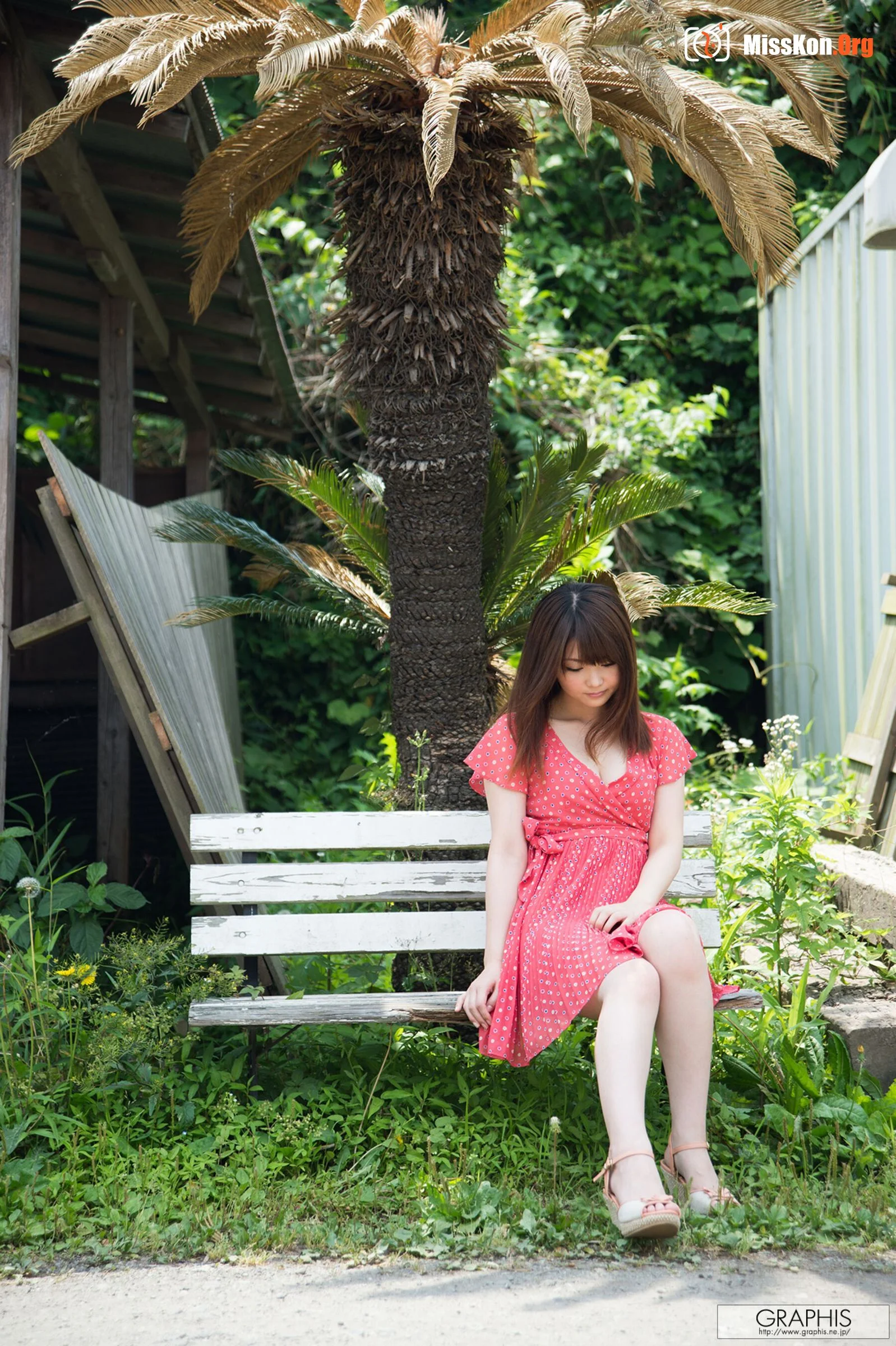 Feiyue Liuyi: Wildcat (2016-06-10) - Photo 4