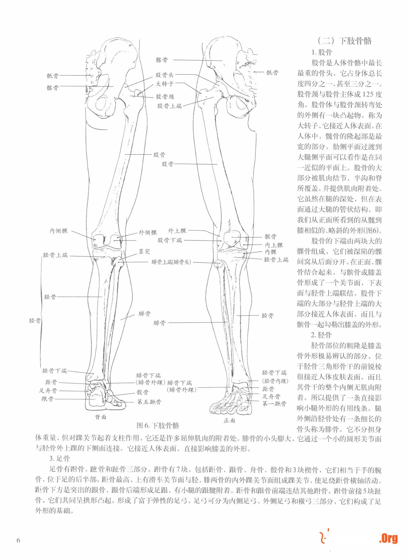 Female body sketching techniques (Anhui Fine Arts Publishing House) - Photo 12