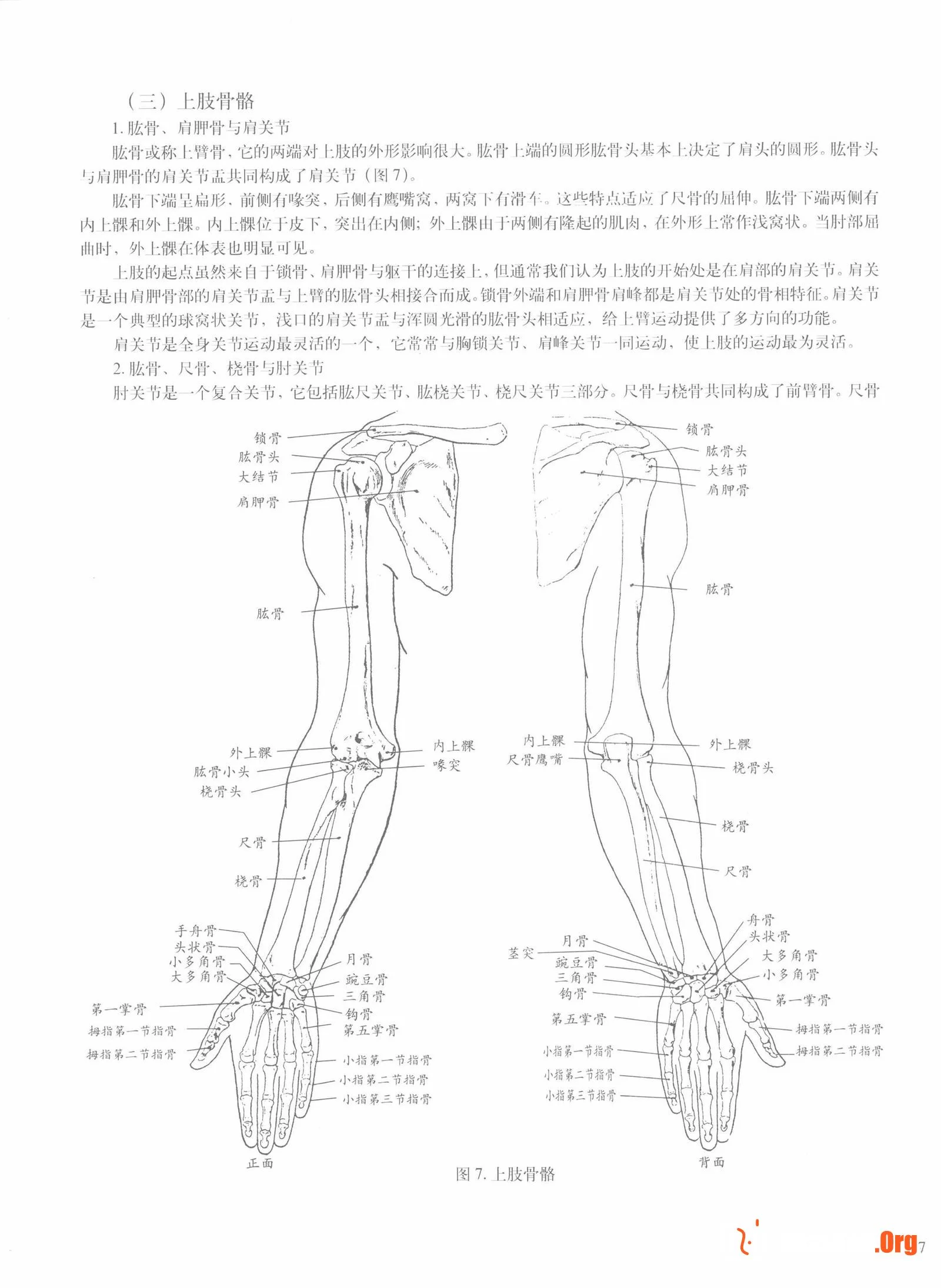 Female body sketching techniques (Anhui Fine Arts Publishing House) - Photo 13