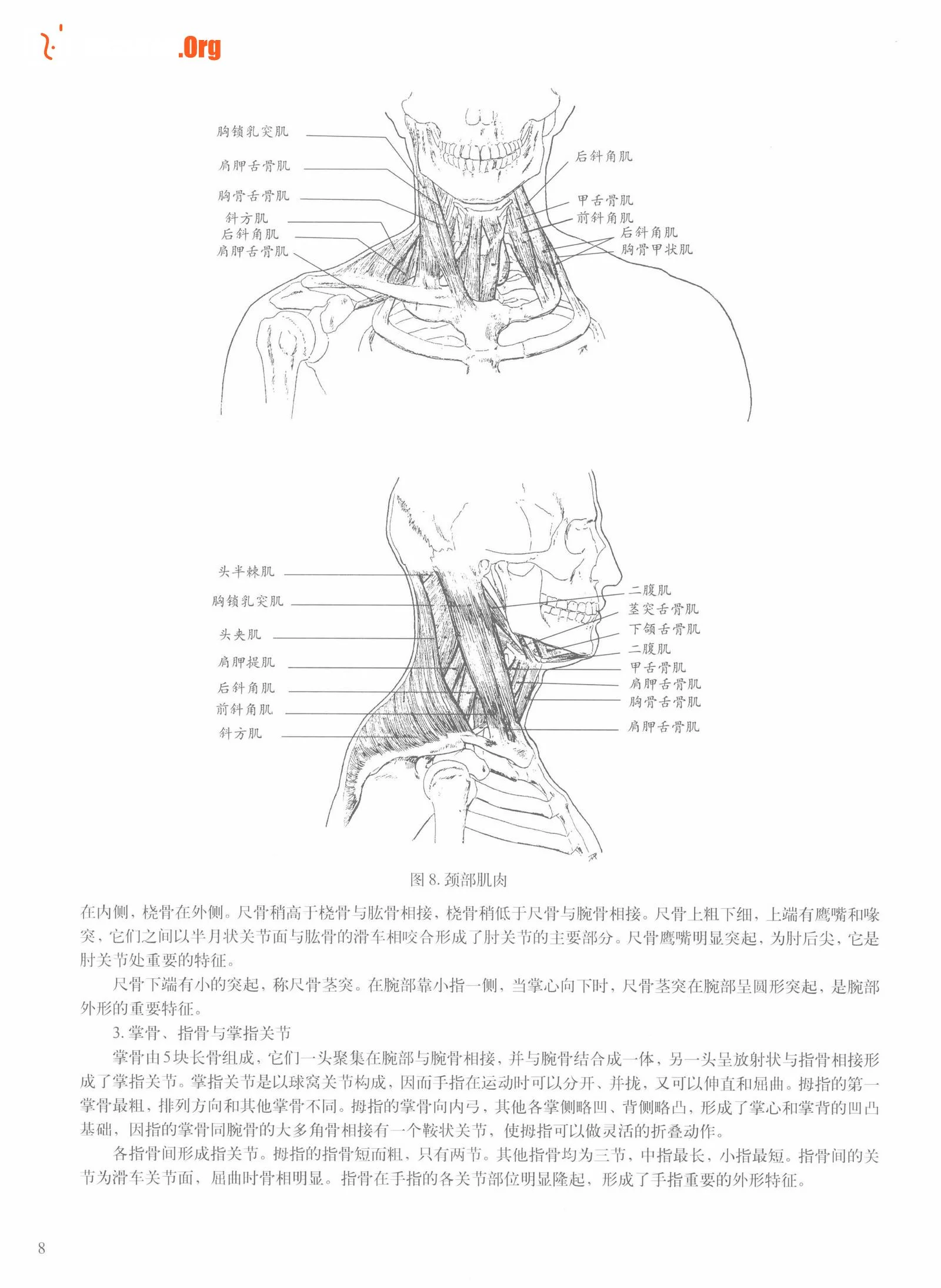 Female body sketching techniques (Anhui Fine Arts Publishing House) - Photo 14