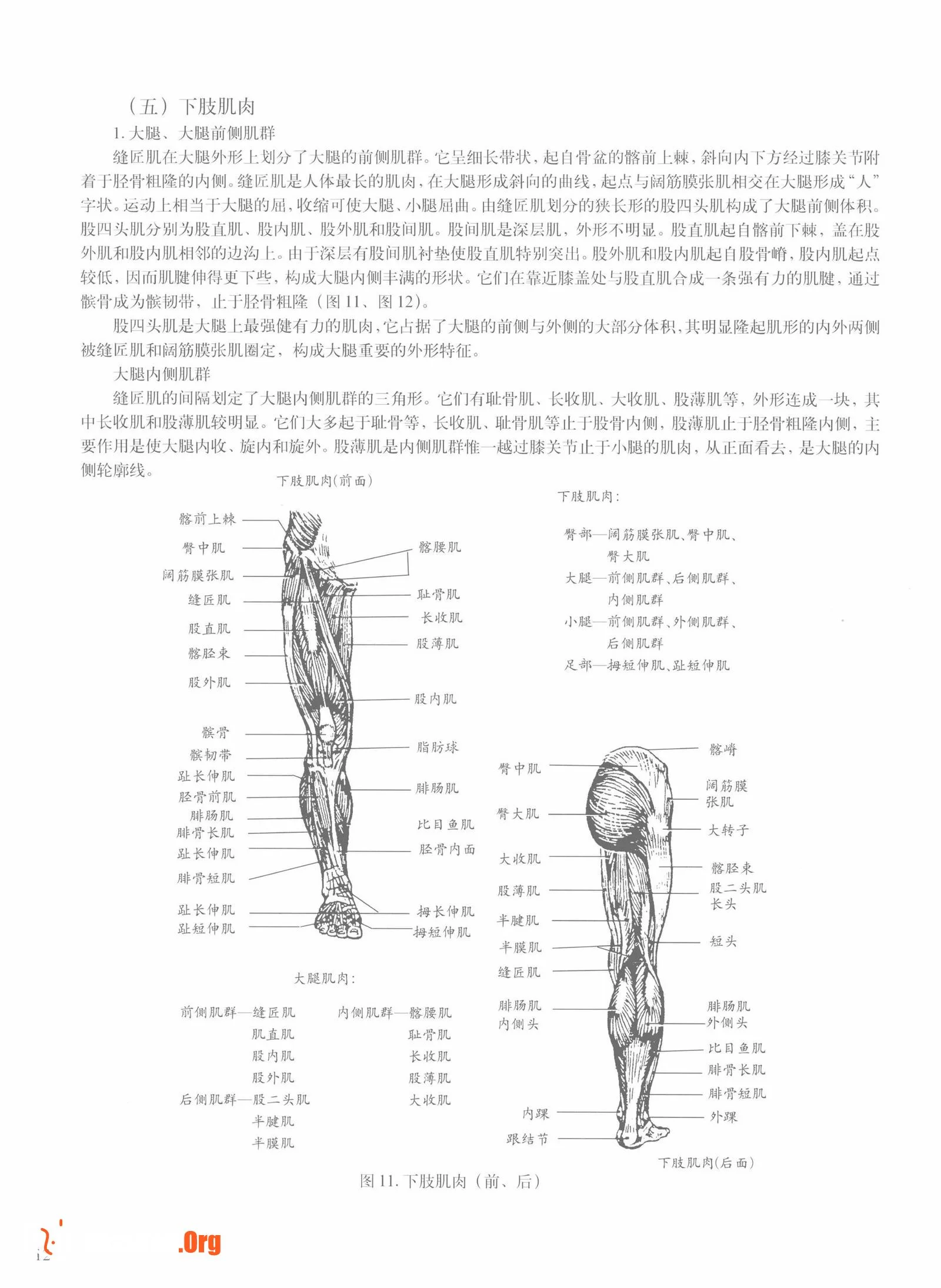 Female body sketching techniques (Anhui Fine Arts Publishing House) - Photo 18