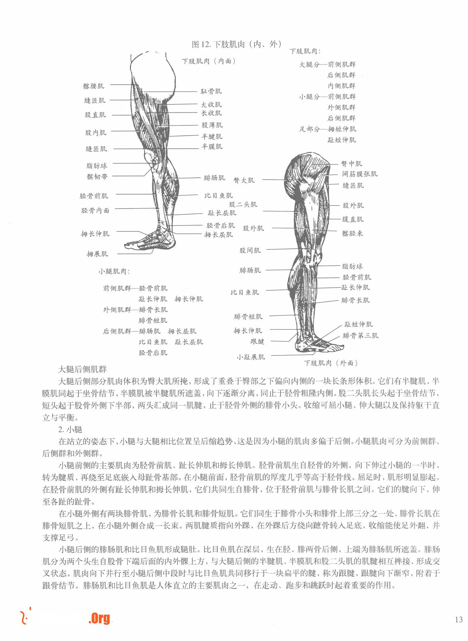 Female body sketching techniques (Anhui Fine Arts Publishing House) - Photo 19