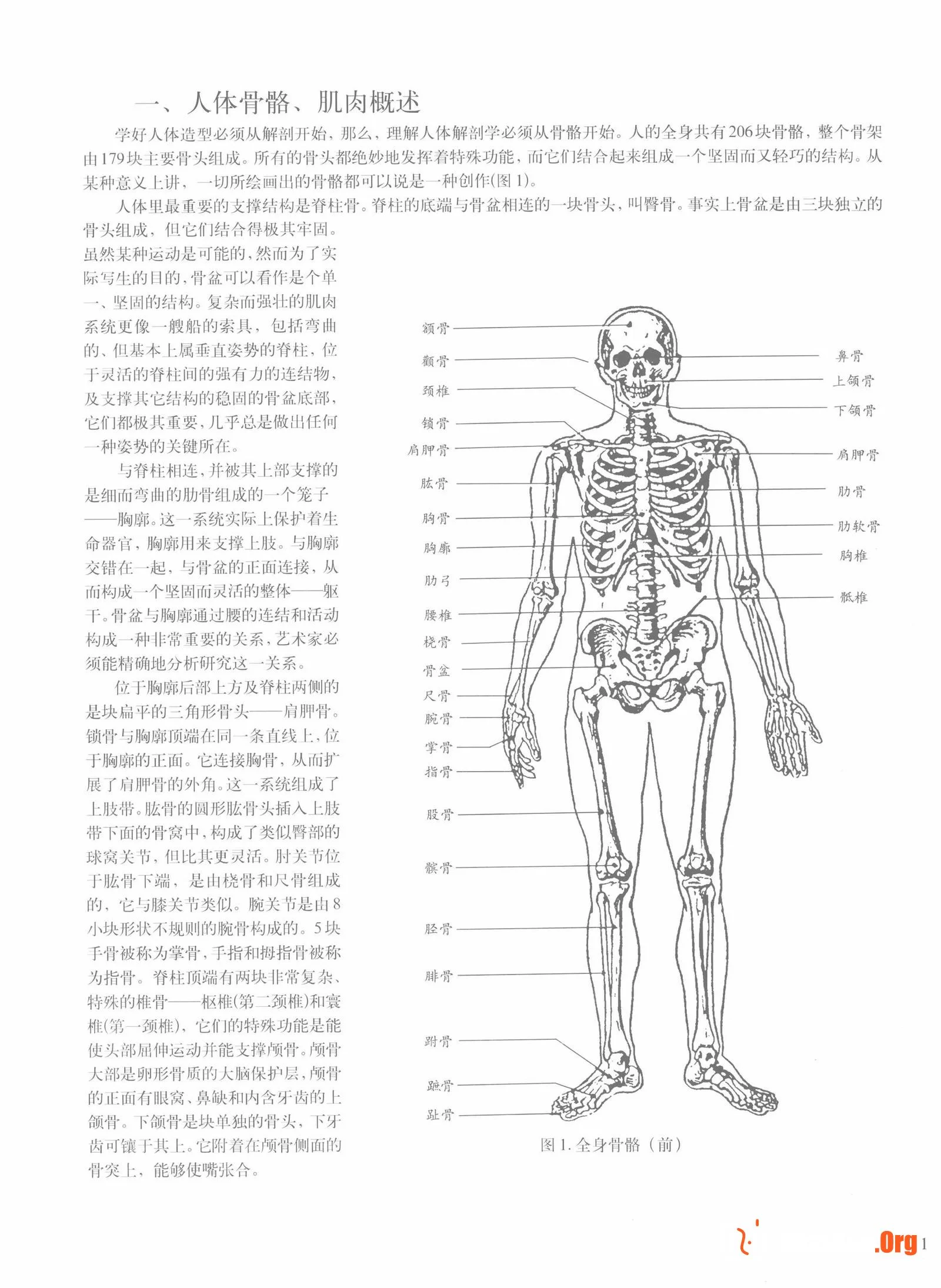 Female body sketching techniques (Anhui Fine Arts Publishing House) - Photo 7