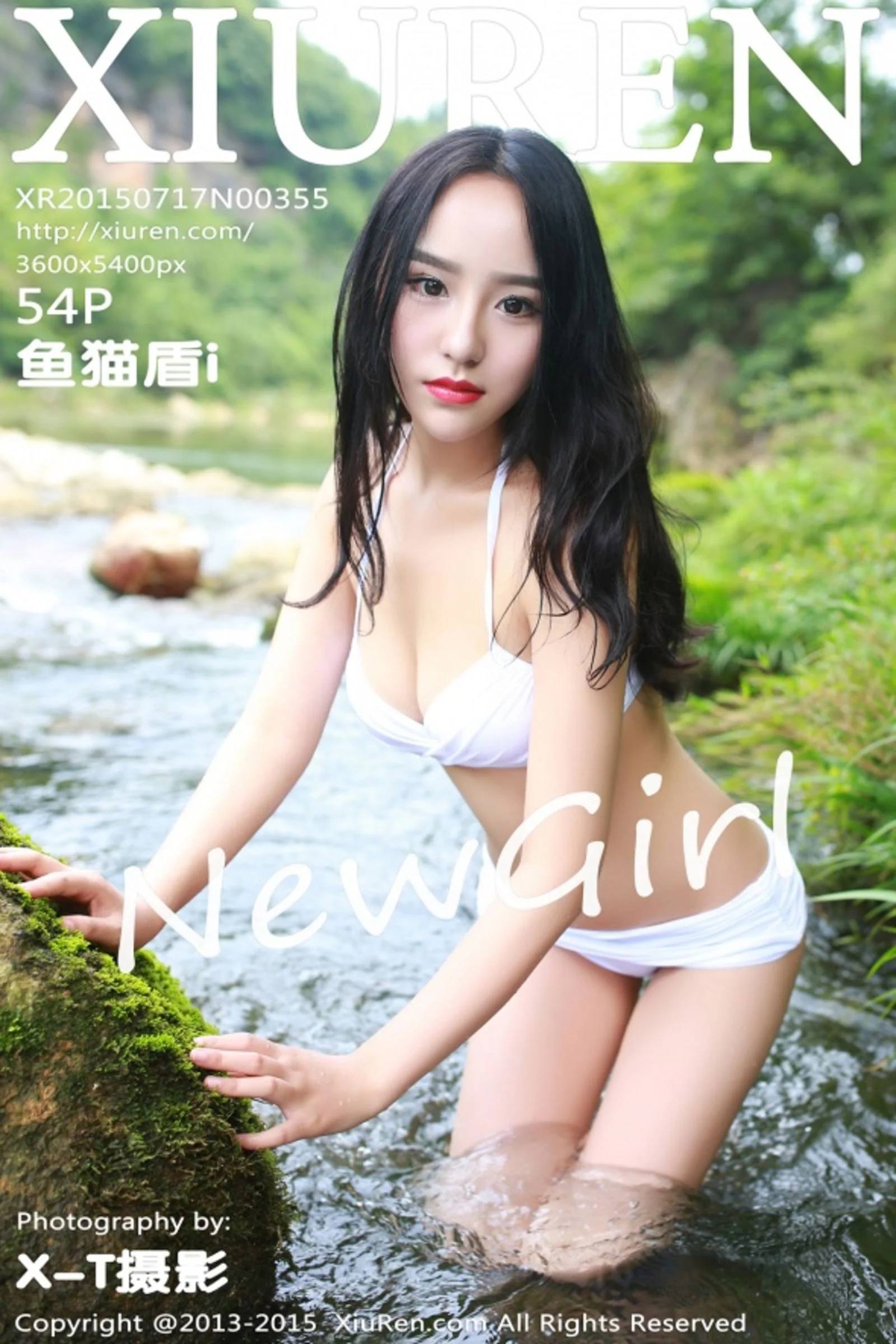 鱼猫盾i