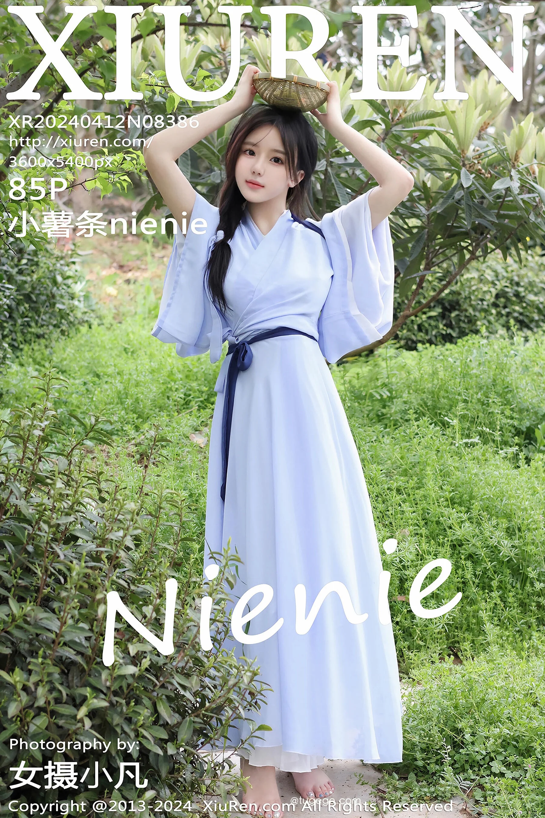Fries Nienie