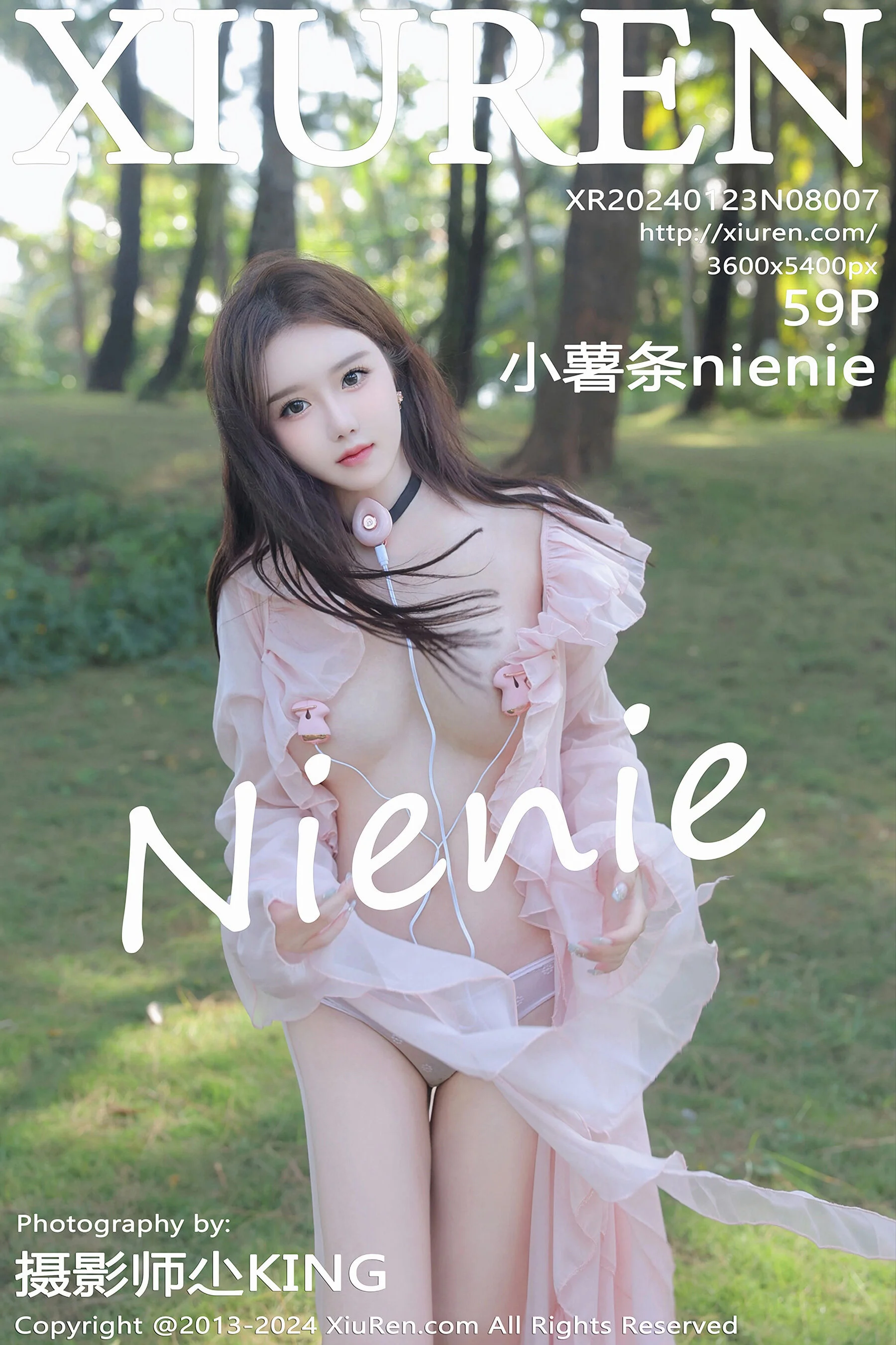 Fries Nienie