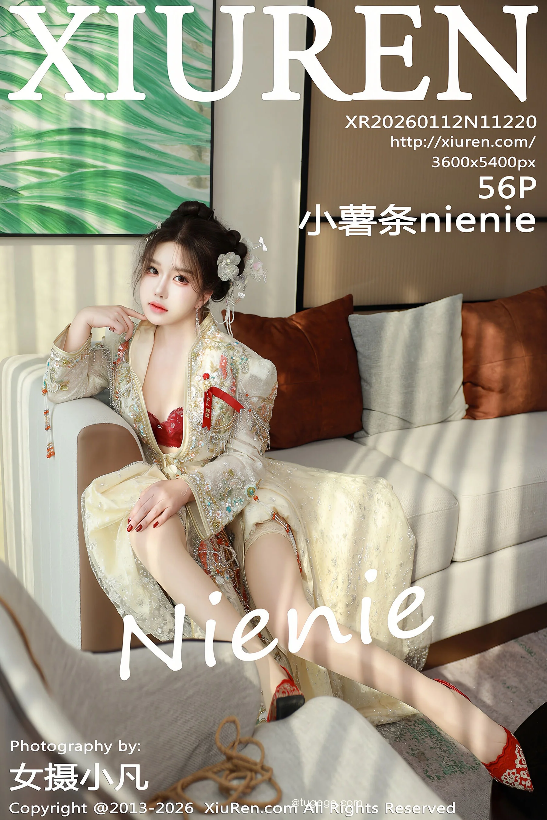 Fries Nienie