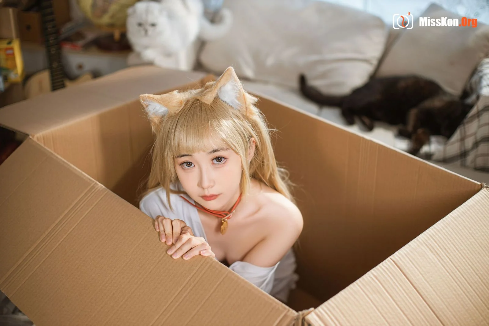 Goldfish kinngyo: CatCat - Photo 2