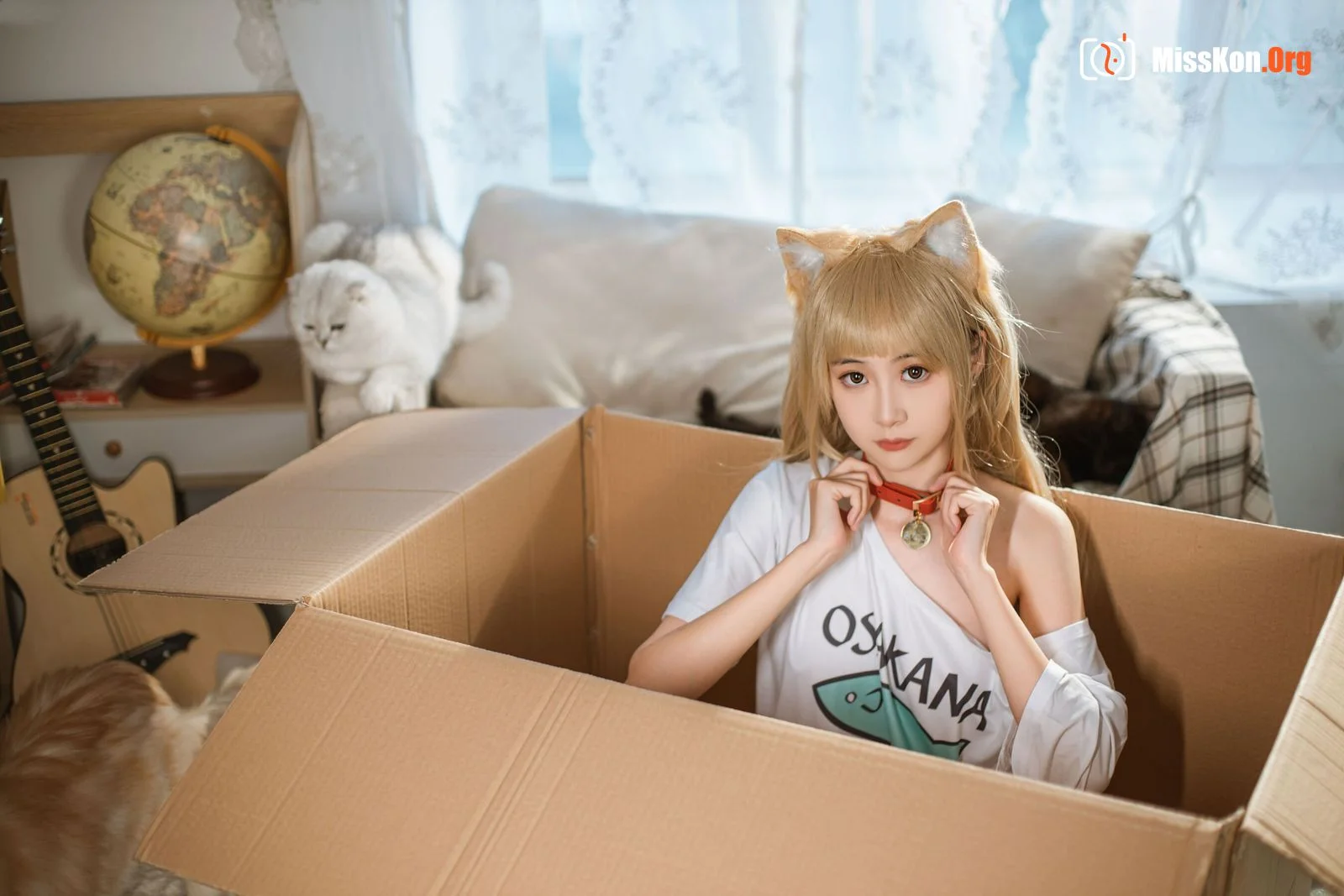 Goldfish kinngyo: CatCat - Photo 3