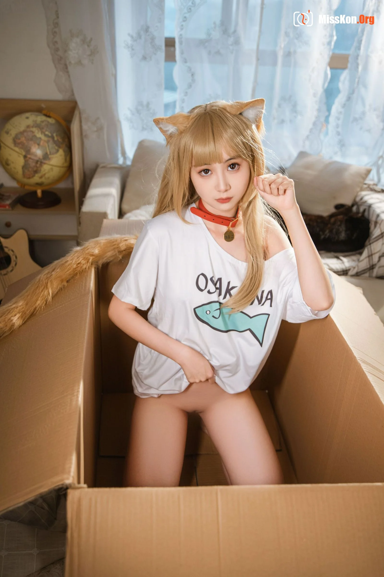 Goldfish kinngyo: CatCat - Photo 4
