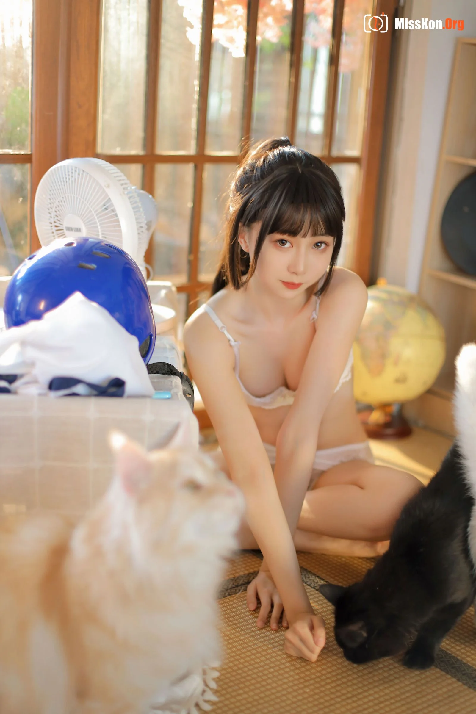 Goldfish kinngyo: Summer afternoon - Photo 17