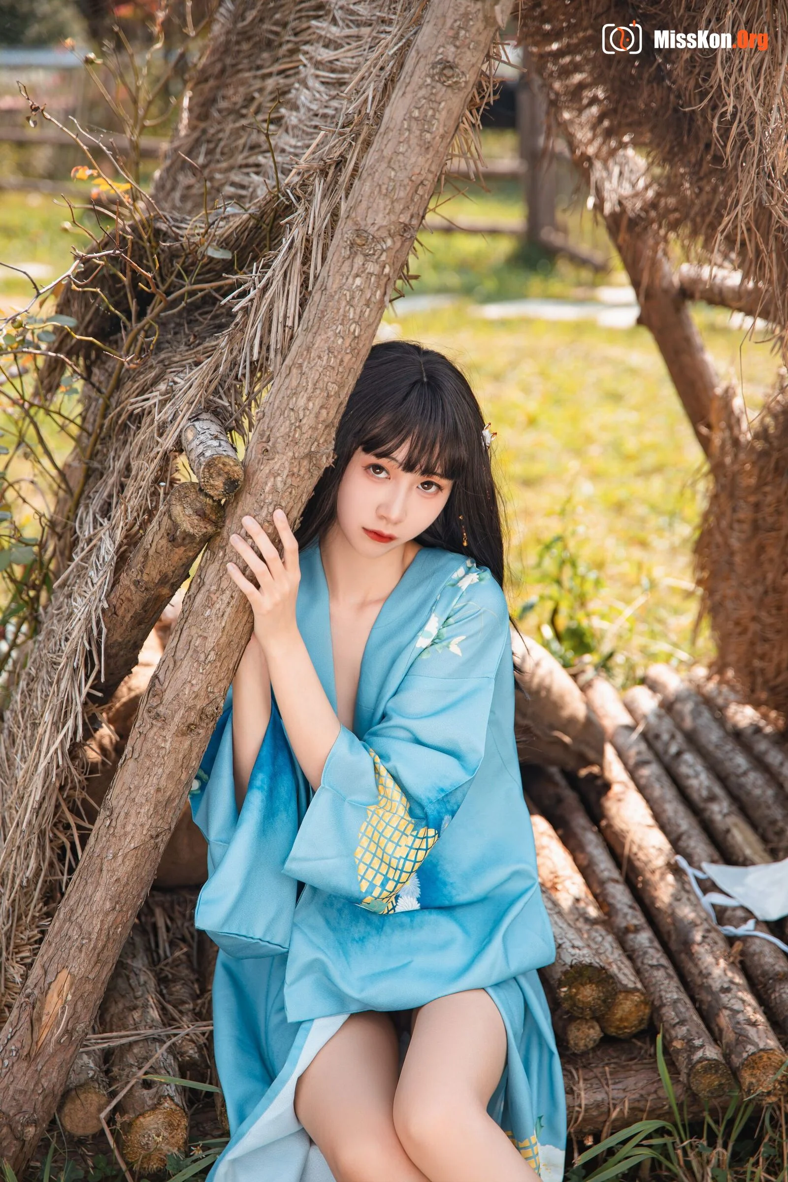 Goldfish kinngyo: Summer limited - Photo 13