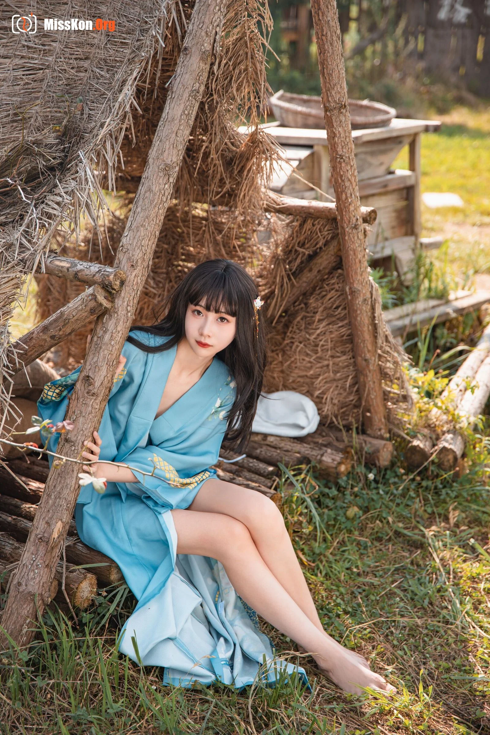 Goldfish kinngyo: Summer limited - Photo 14