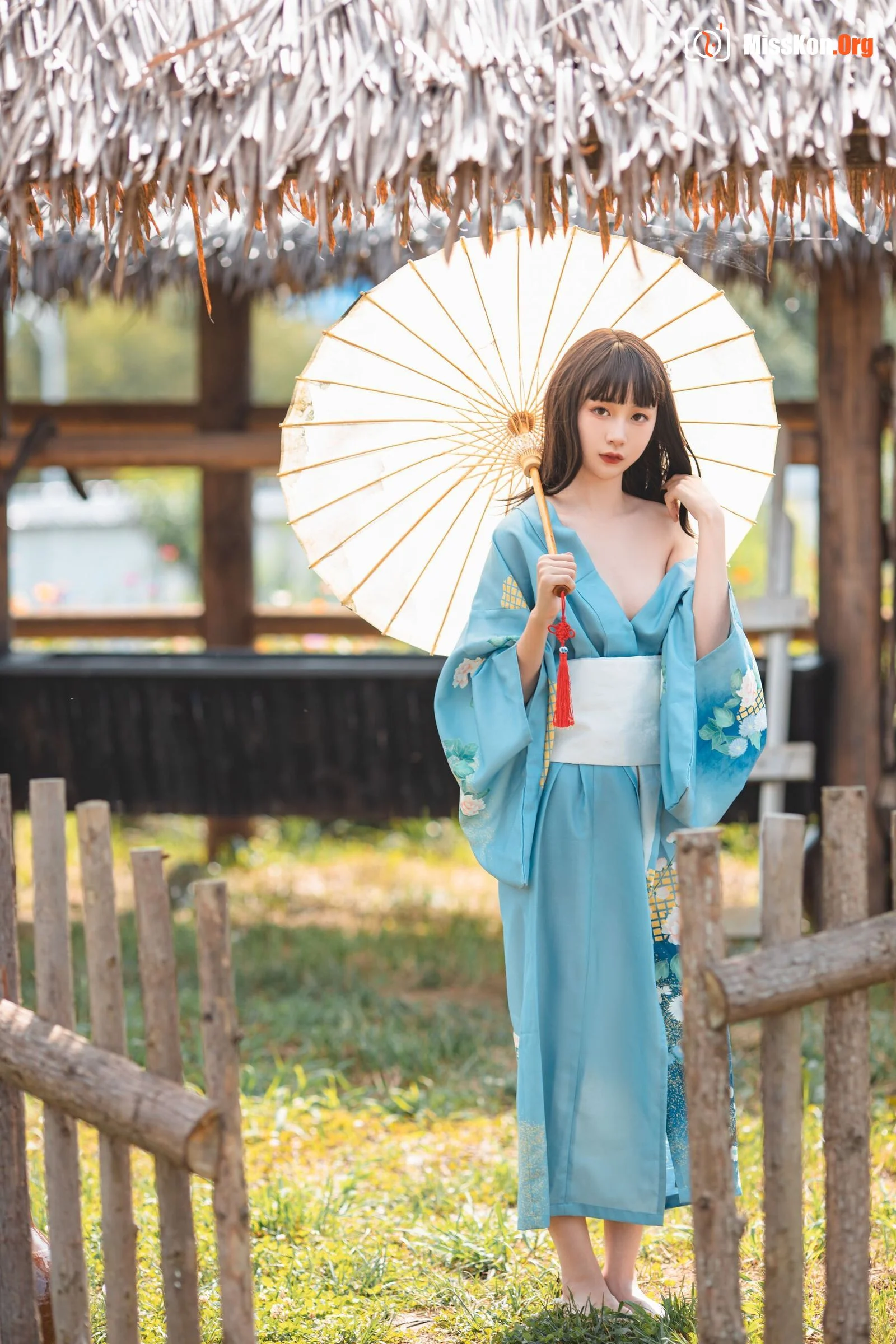 Goldfish kinngyo: Summer limited - Photo 2