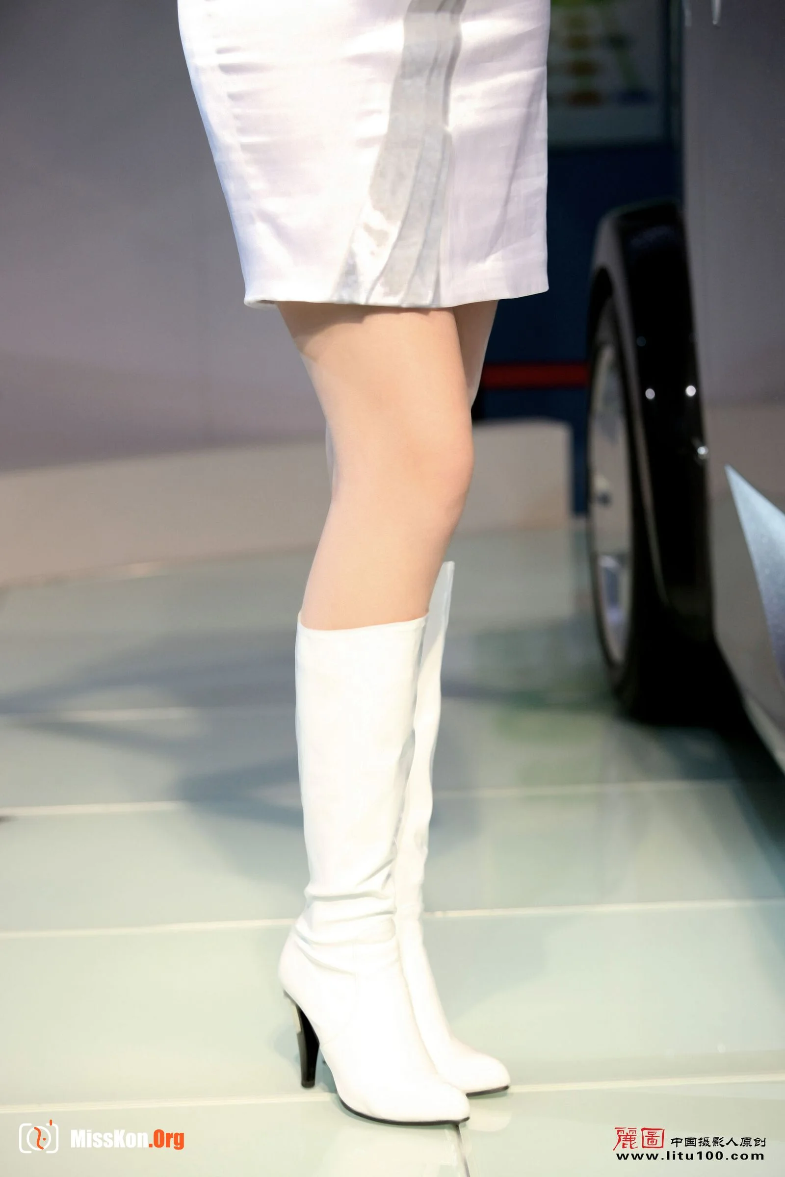 Guangzhou Auto Show (2008-11-22) - Photo 15