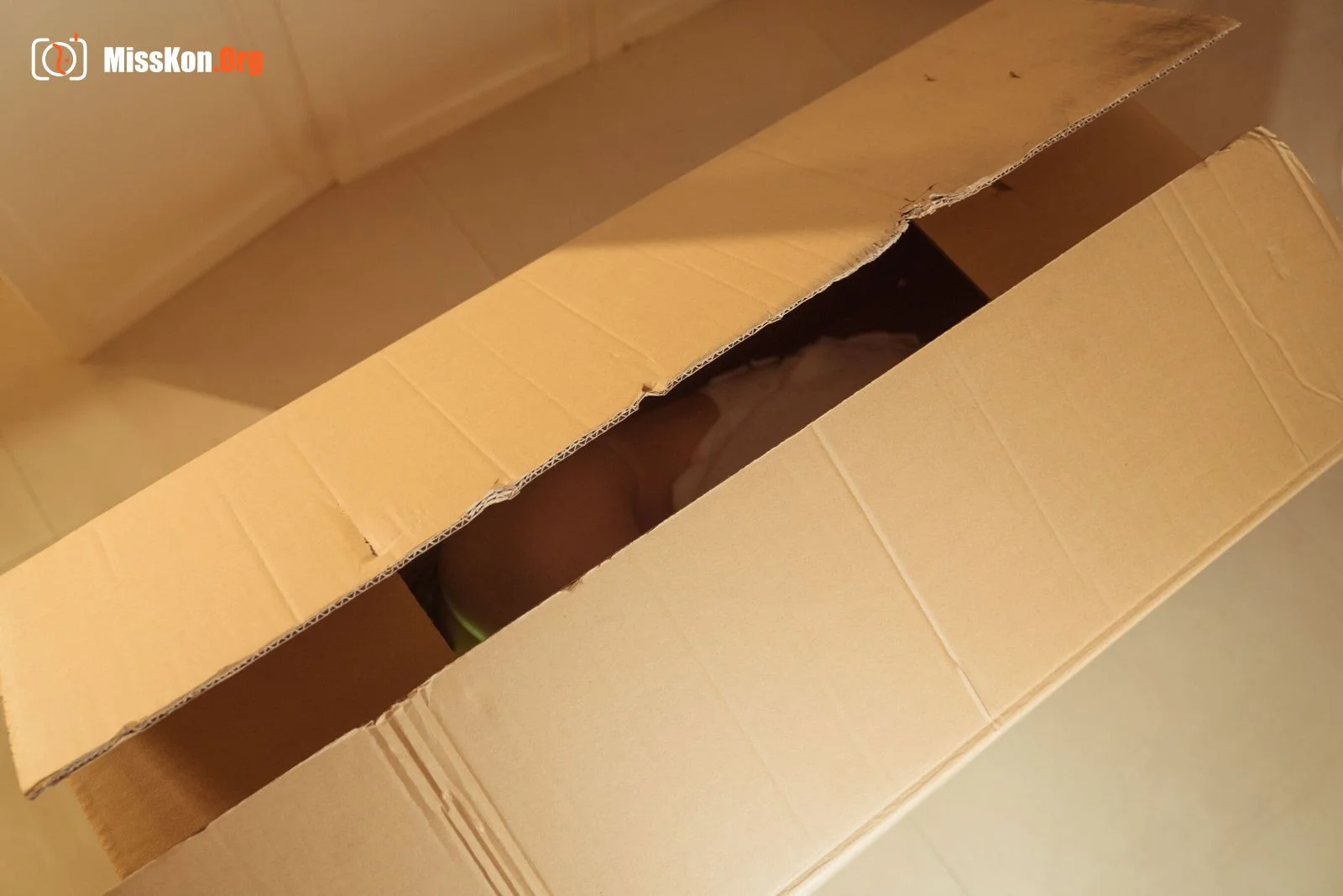 Halo Cub: Box girl - Photo 18