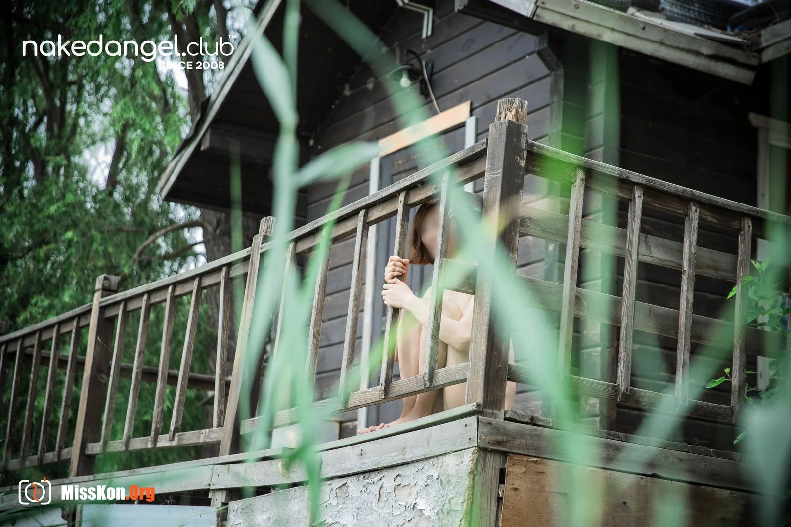Hazy summer - Photo 16