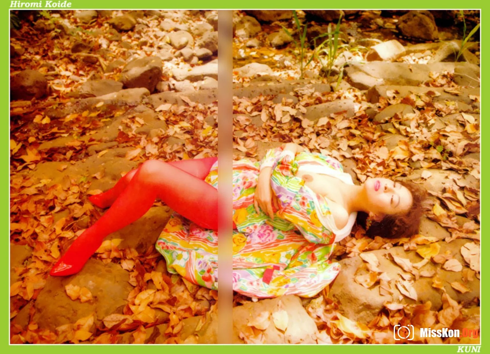 Hiromi Koide - Photo 10