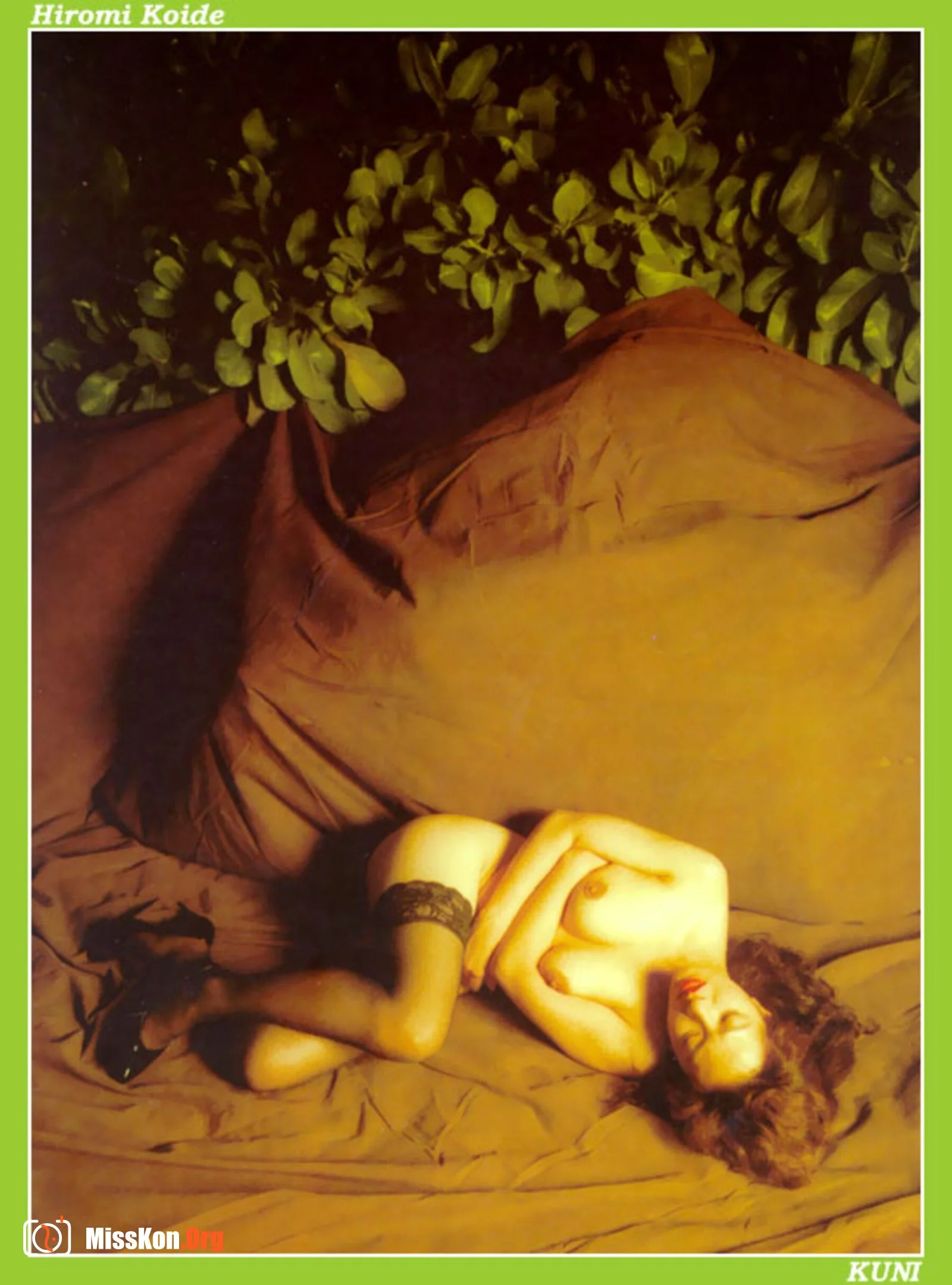 Hiromi Koide - Photo 13