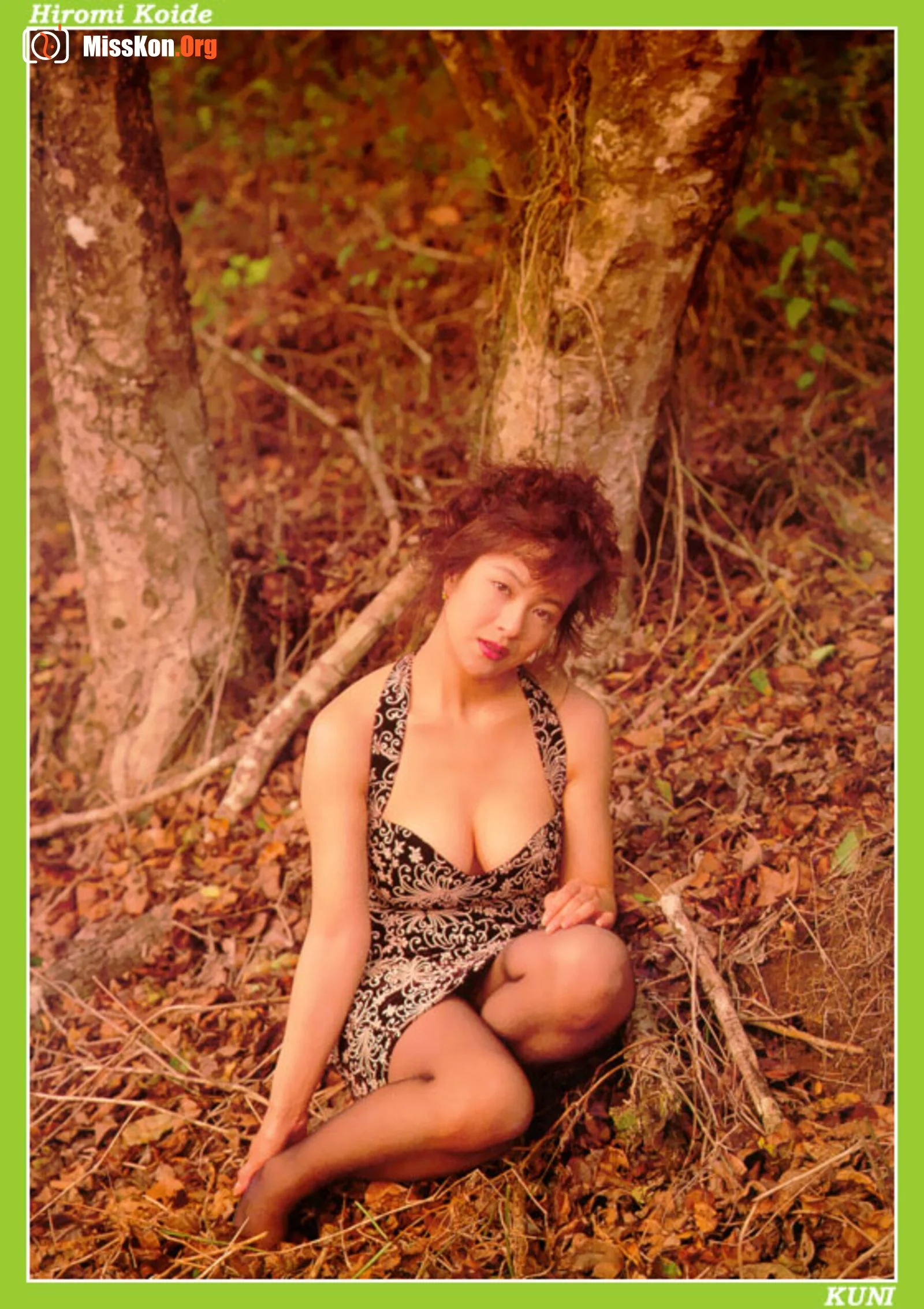 Hiromi Koide - Photo 16