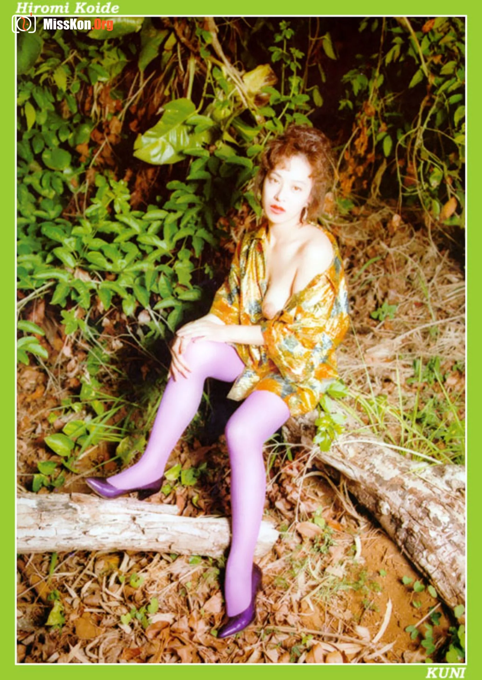 Hiromi Koide - Photo 19