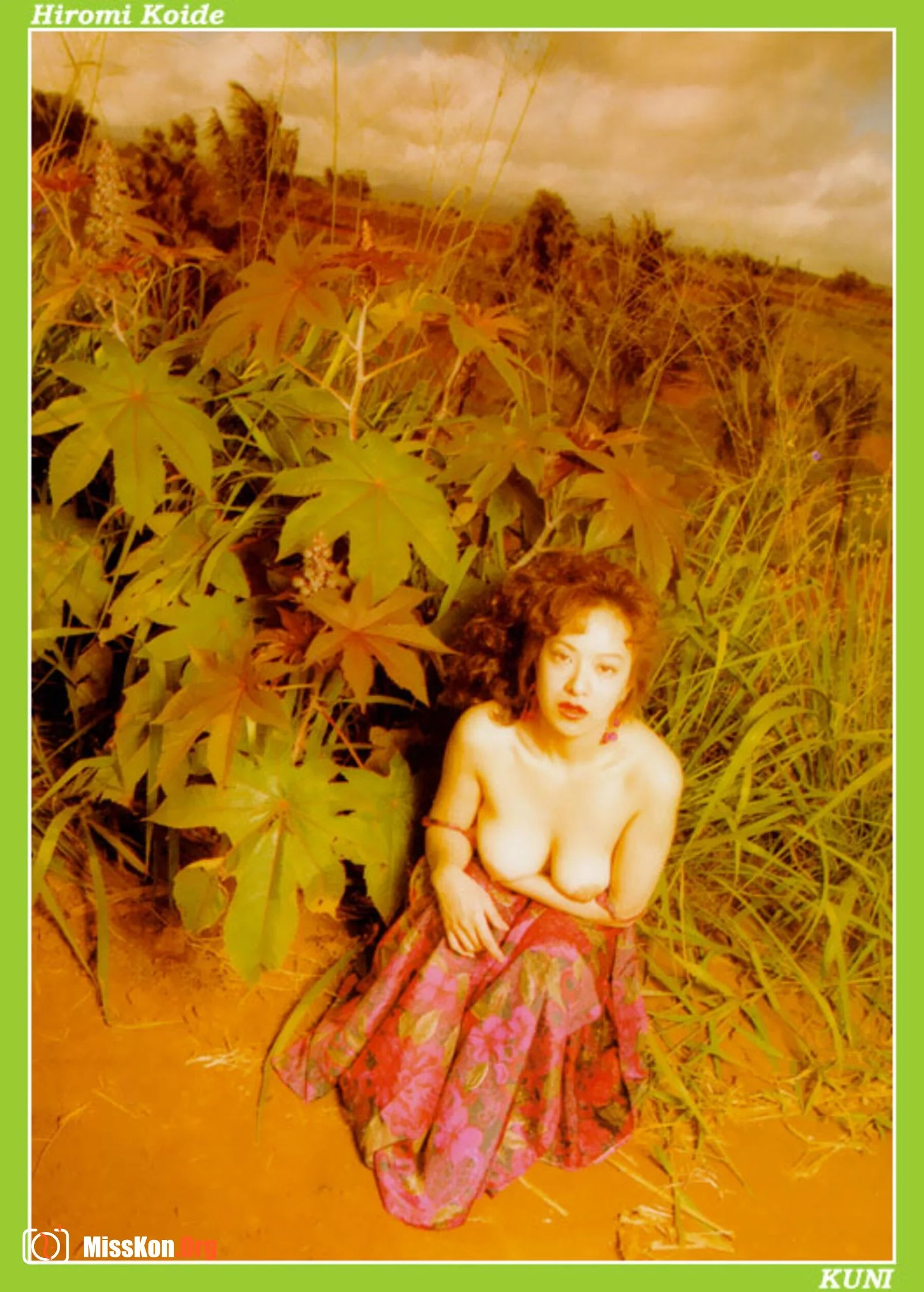 Hiromi Koide - Photo 2