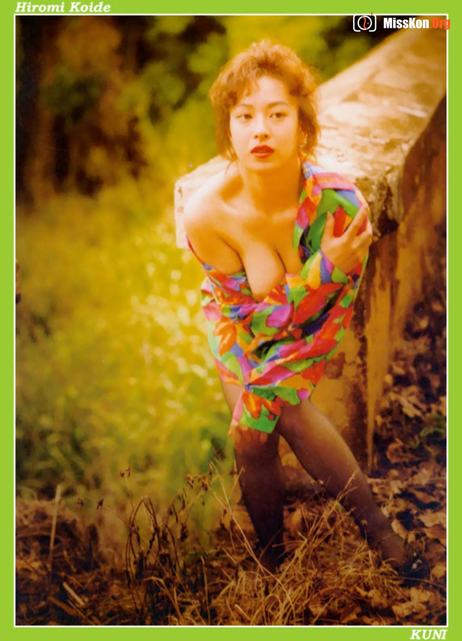 Hiromi Koide - Photo 20
