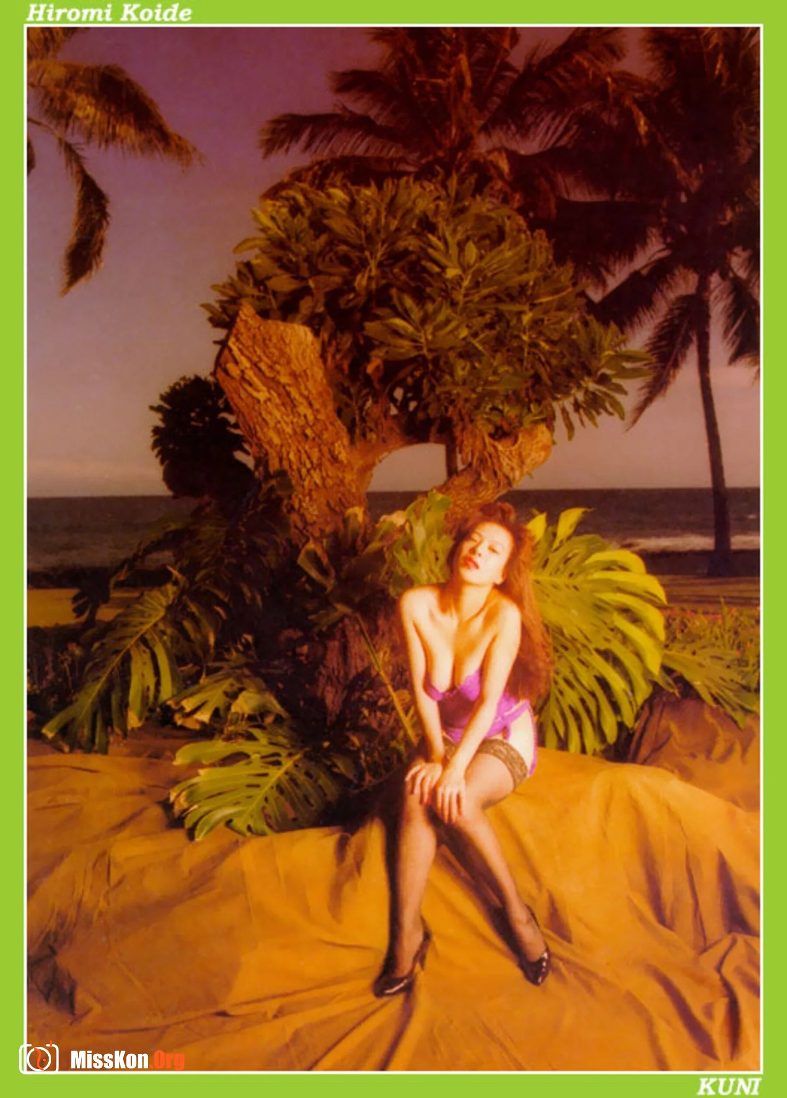 Hiromi Koide - Photo 4