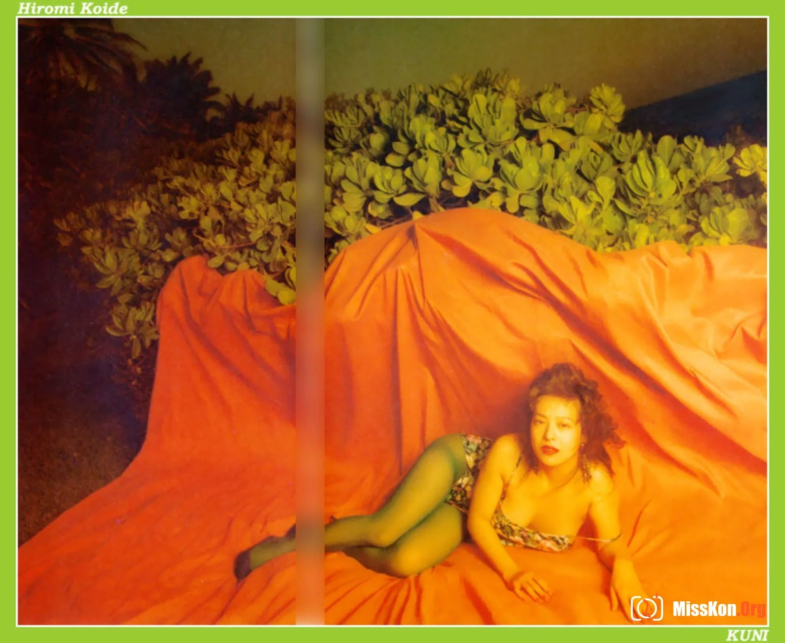 Hiromi Koide - Photo 6