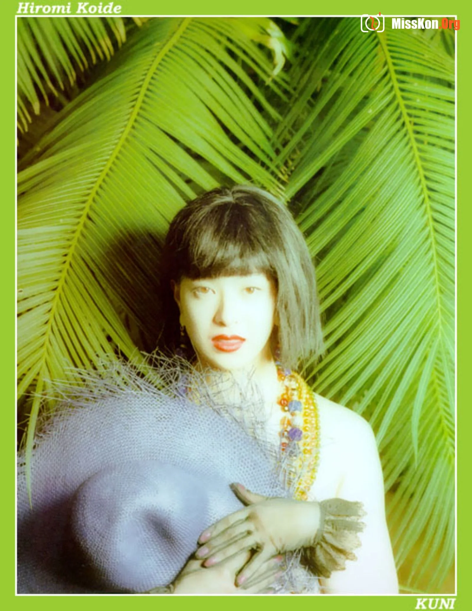 Hiromi Koide - Photo 7
