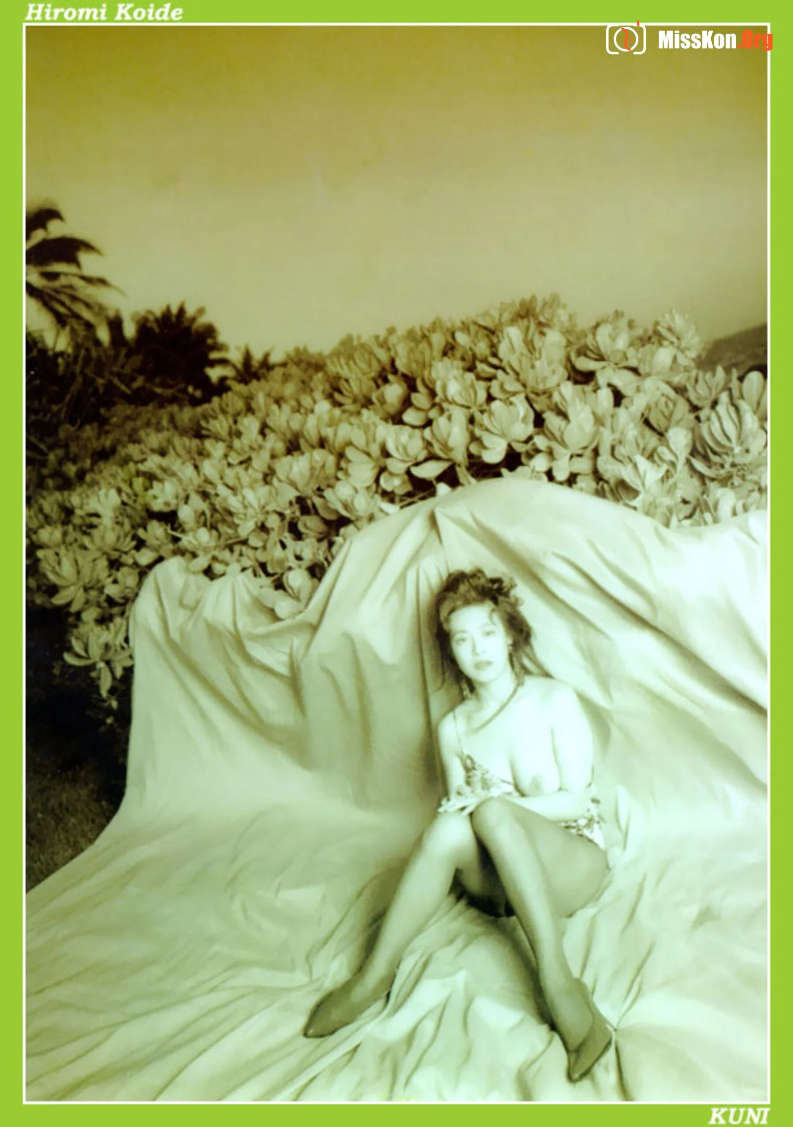 Hiromi Koide - Photo 8