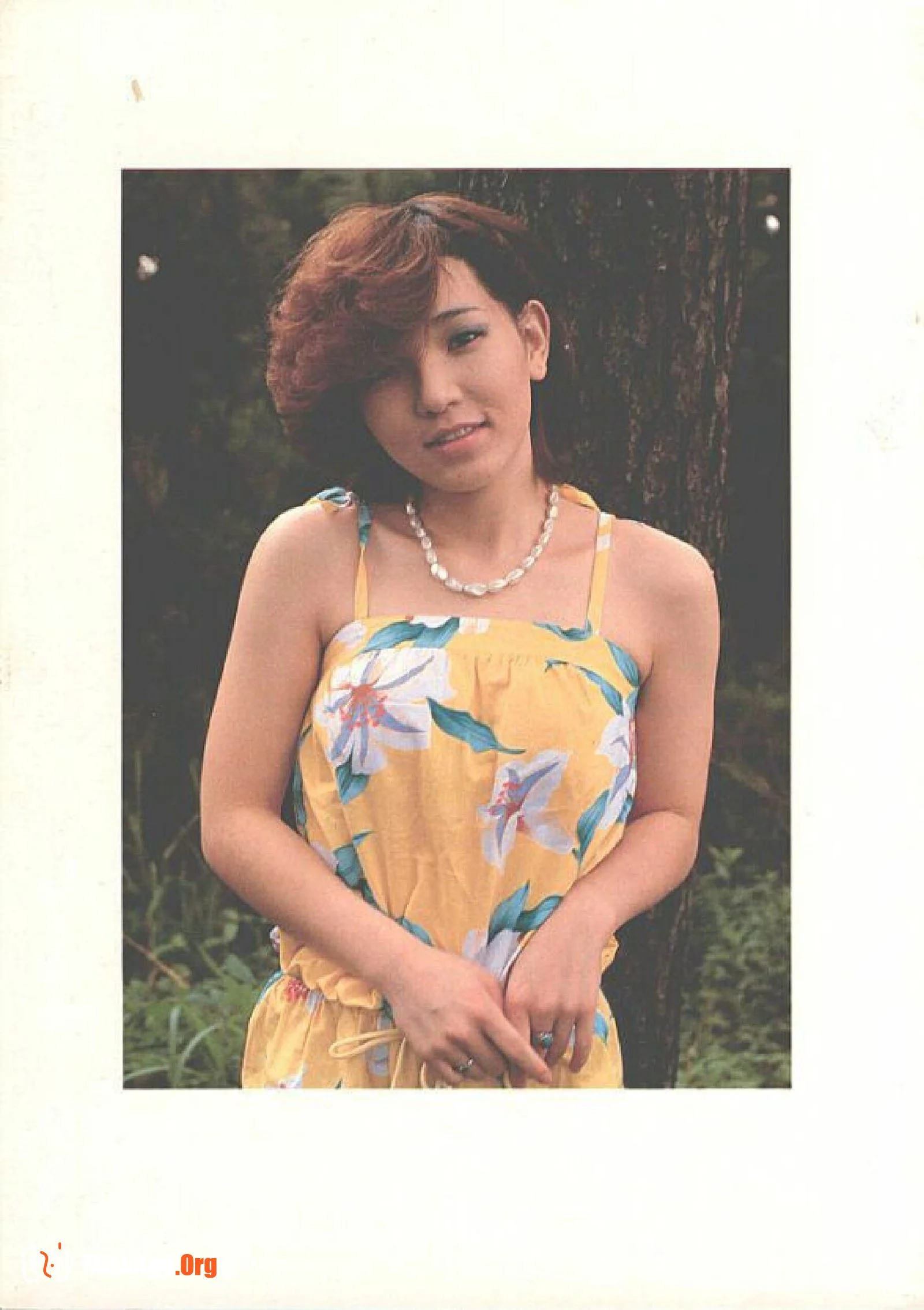 Hirugao (1982-01-01) - Photo 12