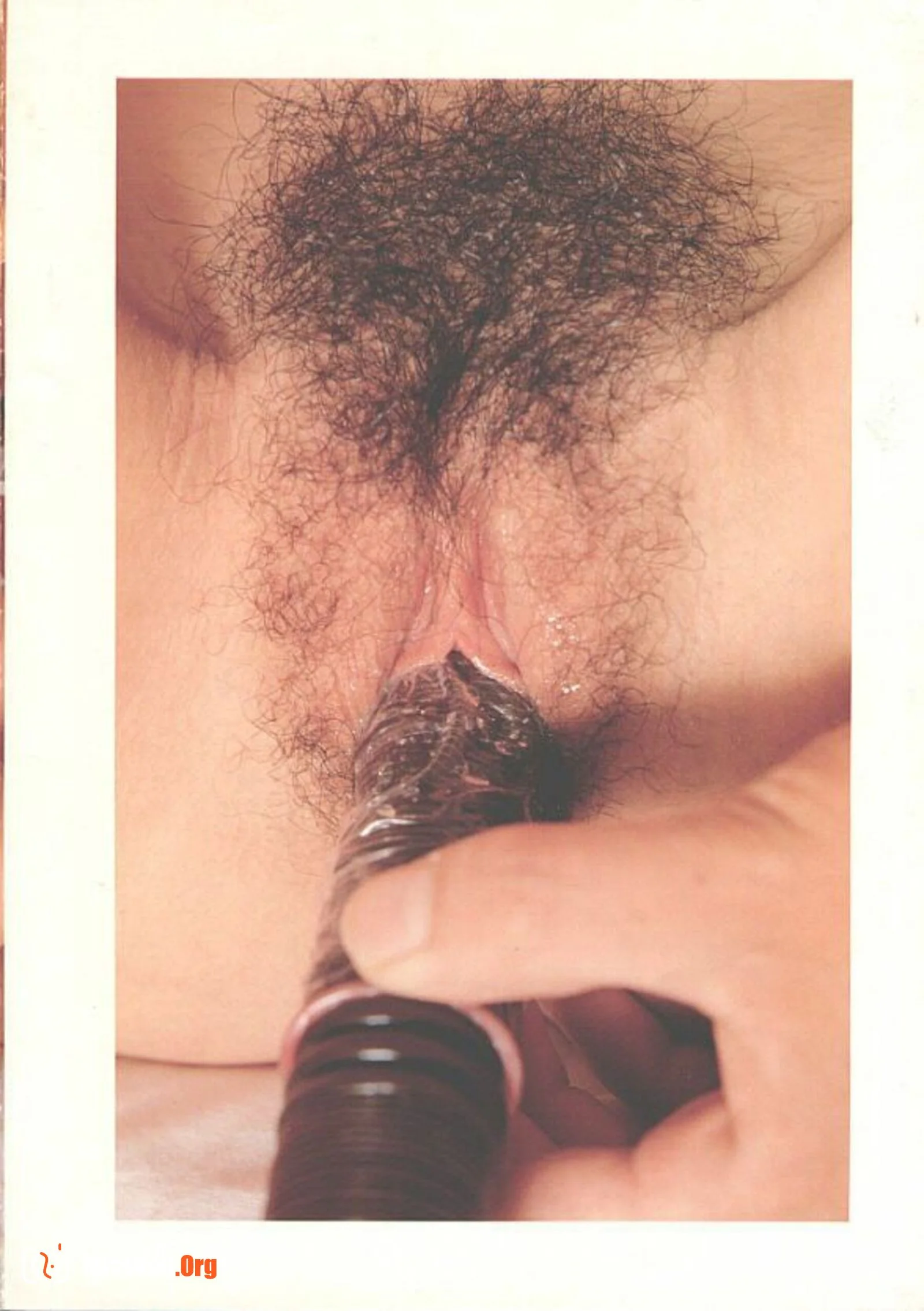 Hirugao - Photo 17