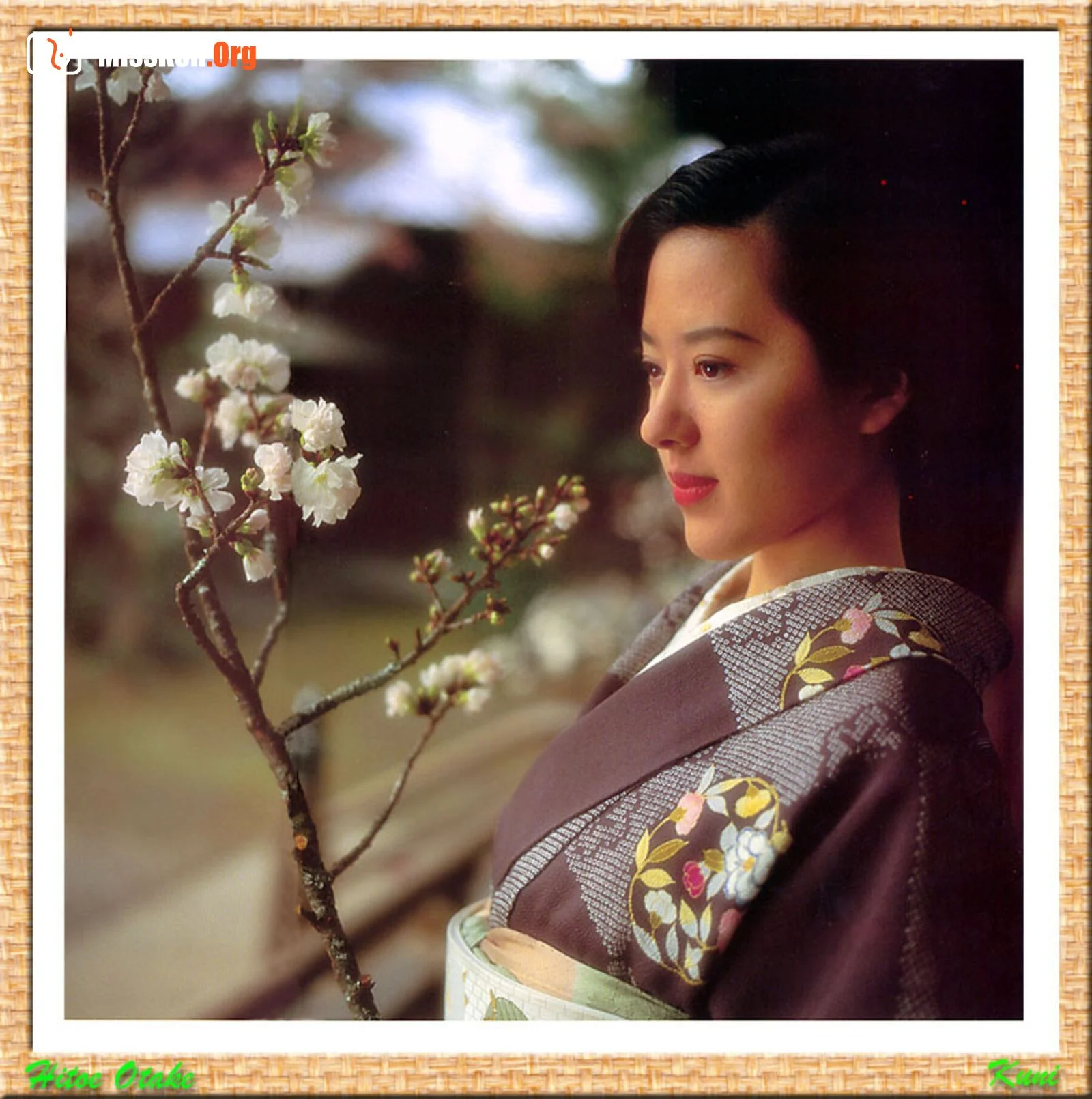 Hitoe Otake - Photo 3