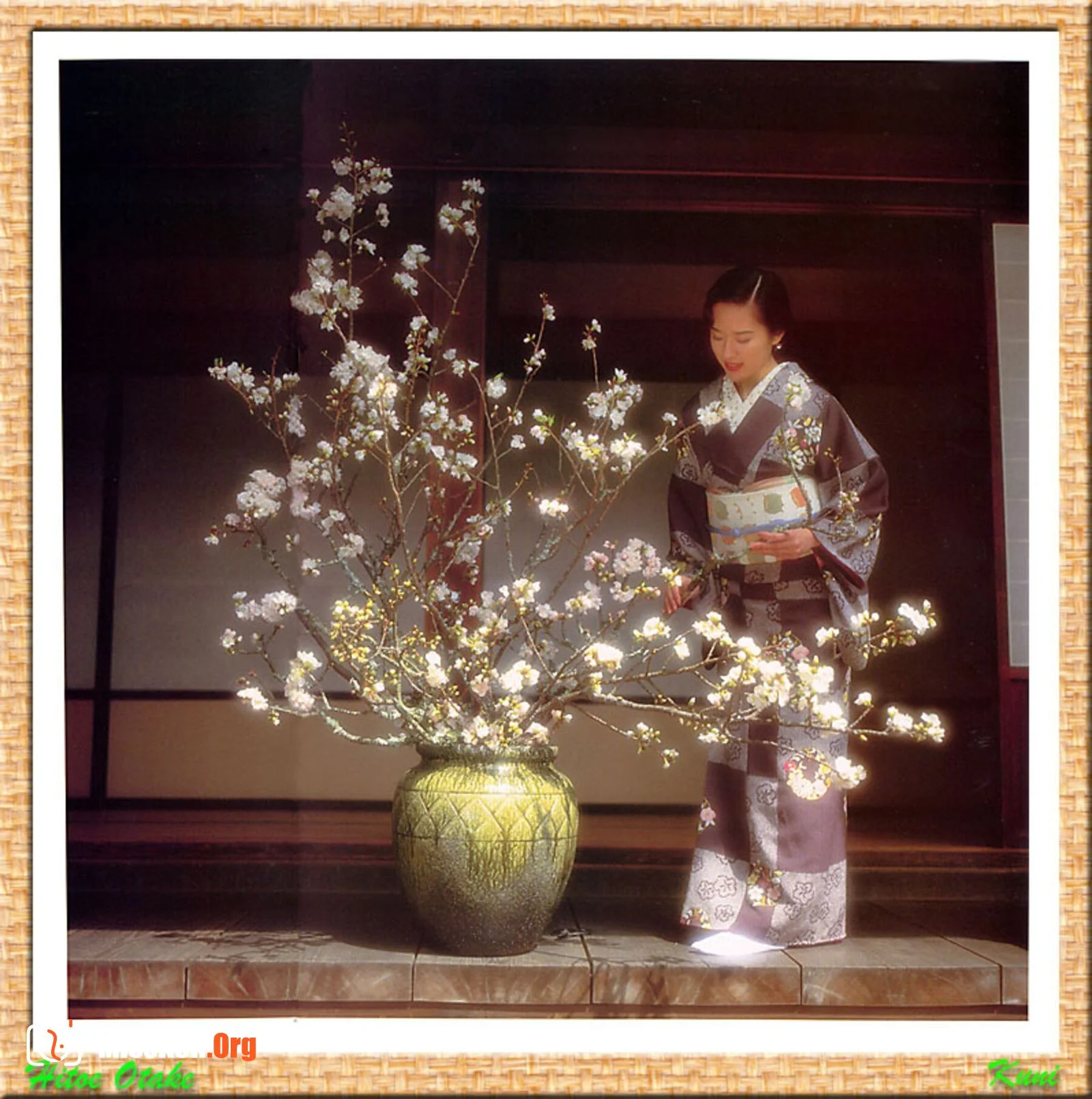 Hitoe Otake - Photo 5