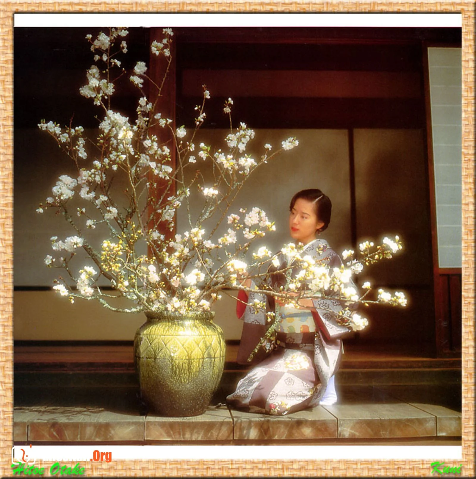 Hitoe Otake - Photo 57