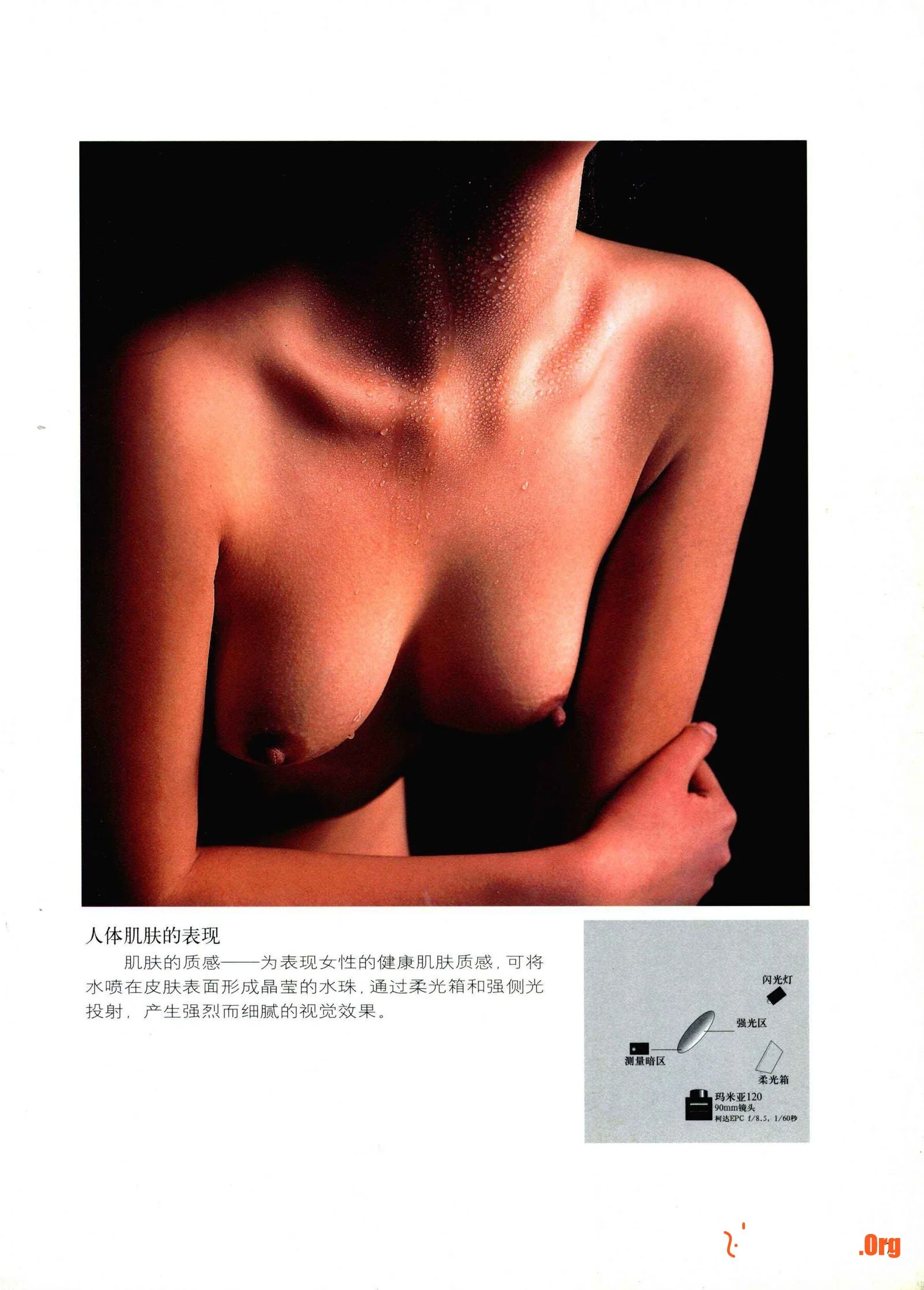How to photograph the human body (Zhejiang People's Fine Arts Publishing House) - Photo 8