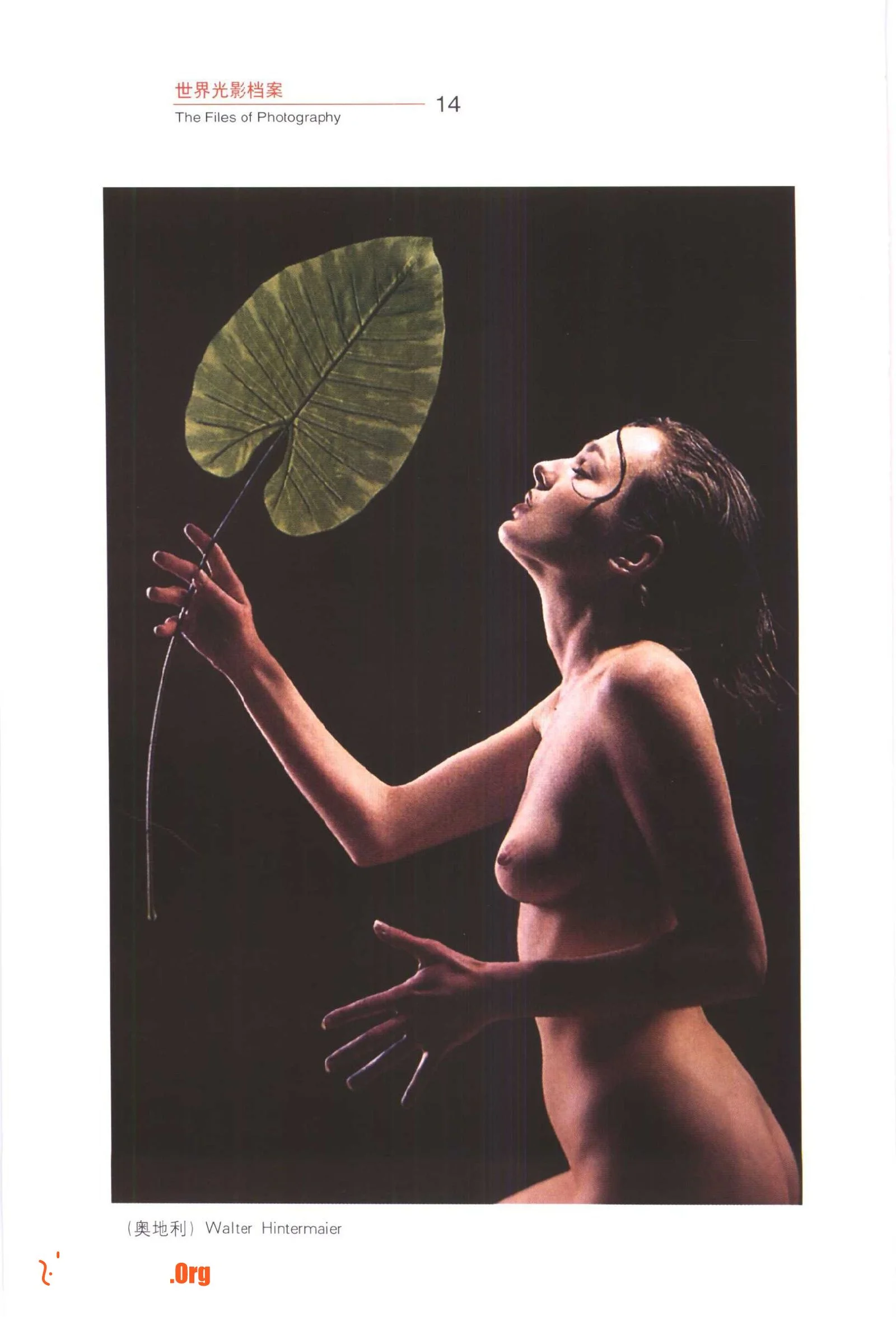Human body photography (Jilin Photography Publishing House) - Photo 18