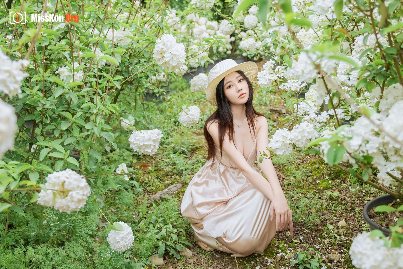 Hydrangea - Photo 10