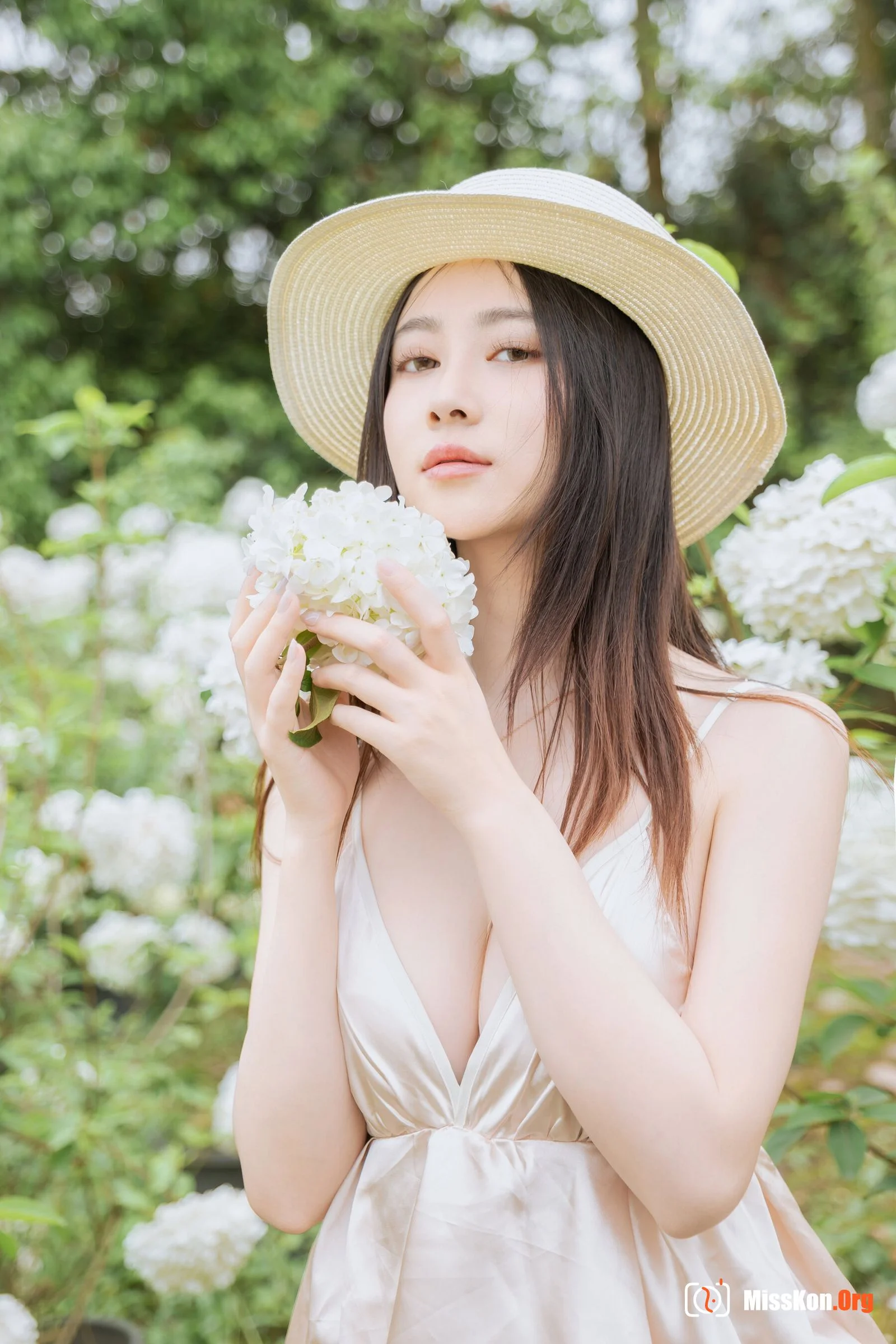 Hydrangea - Photo 12