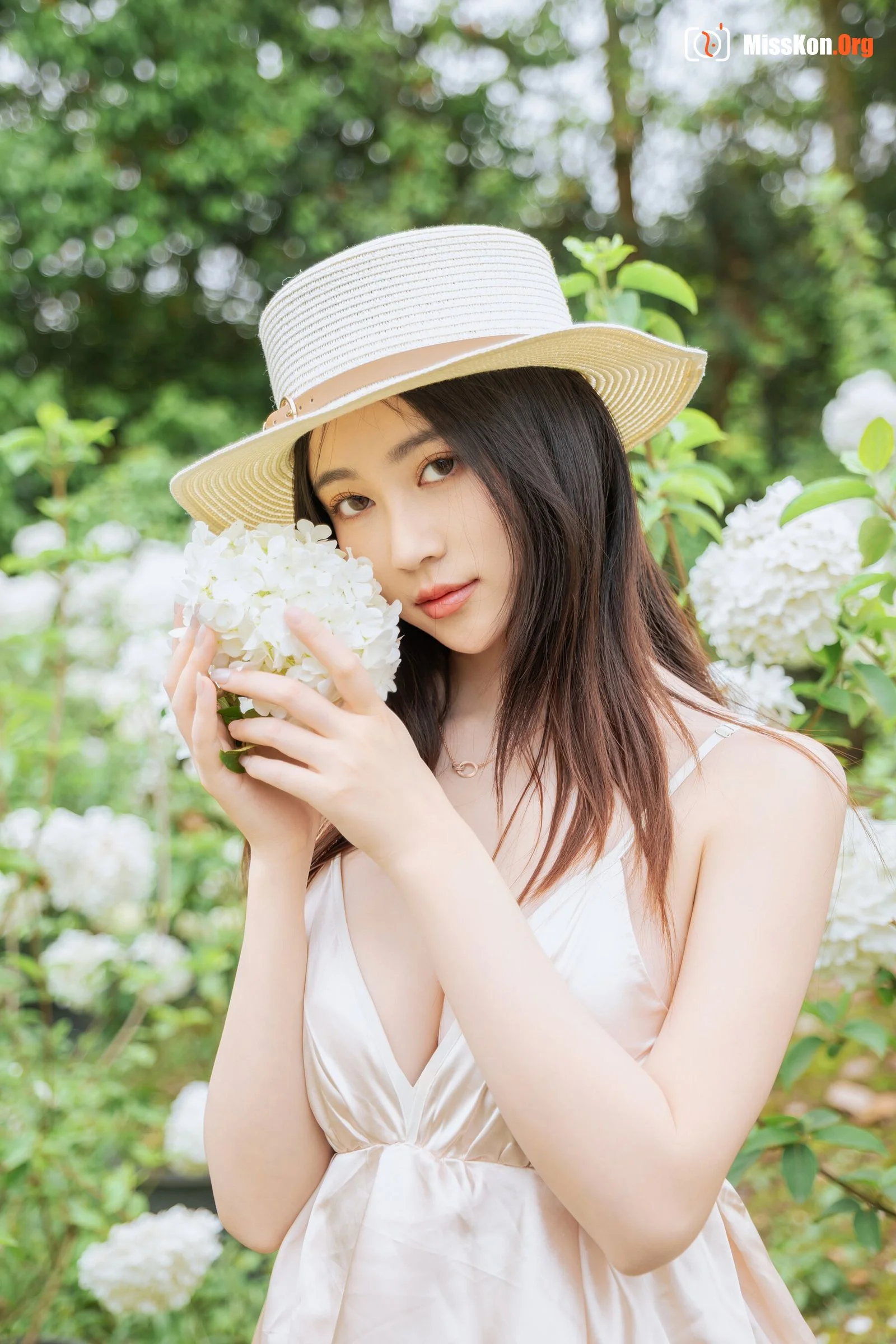 Hydrangea - Photo 13